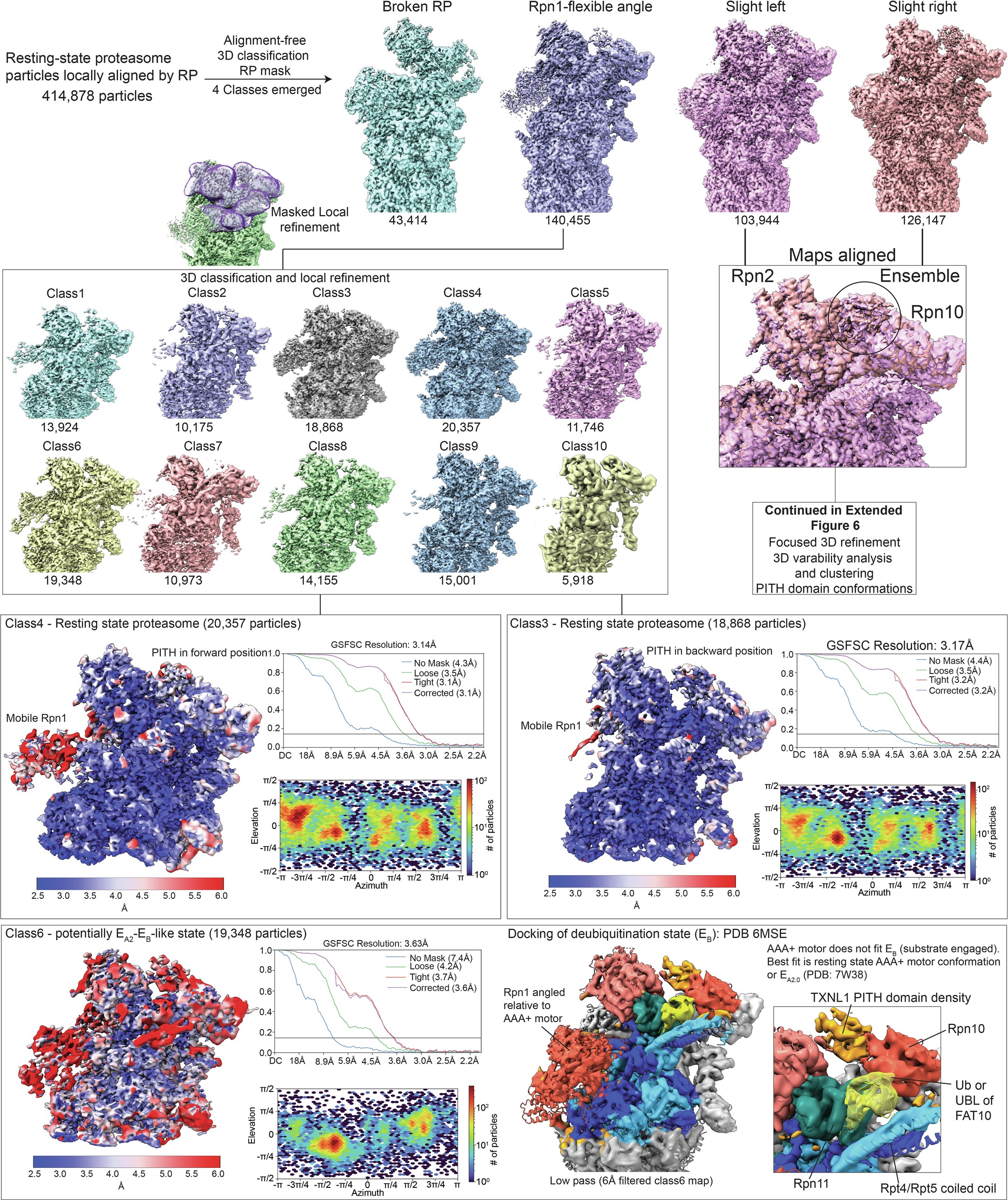Extended Data Fig. 6