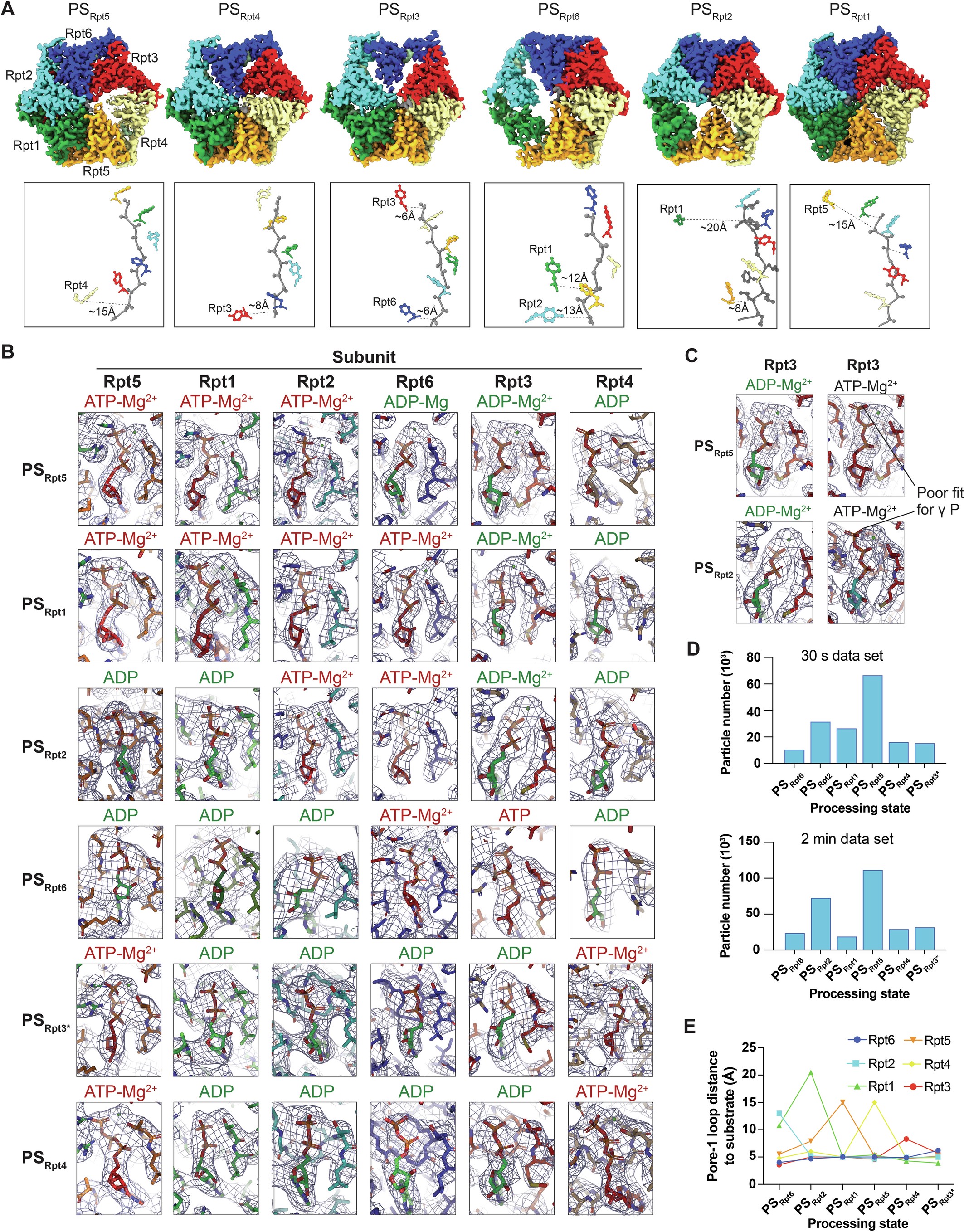 Extended Data Fig. 10