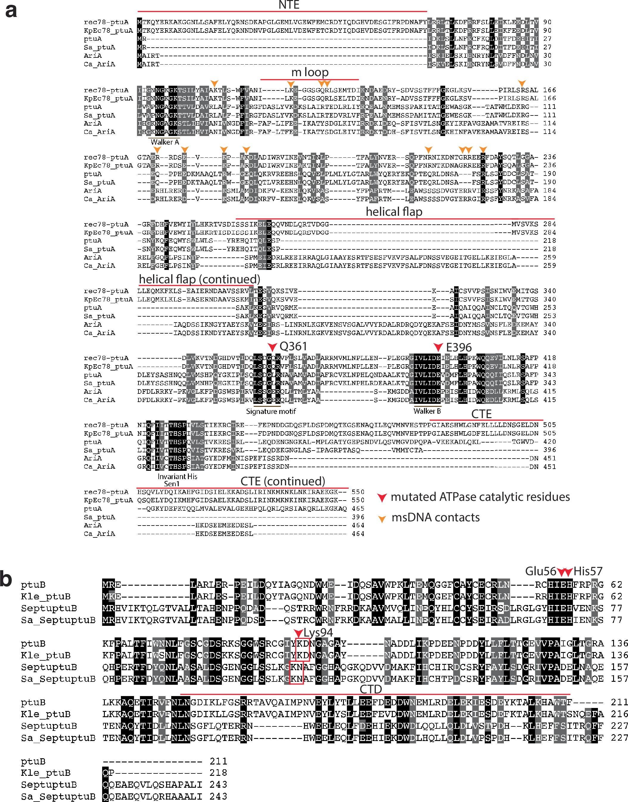 Extended Data Fig. 5