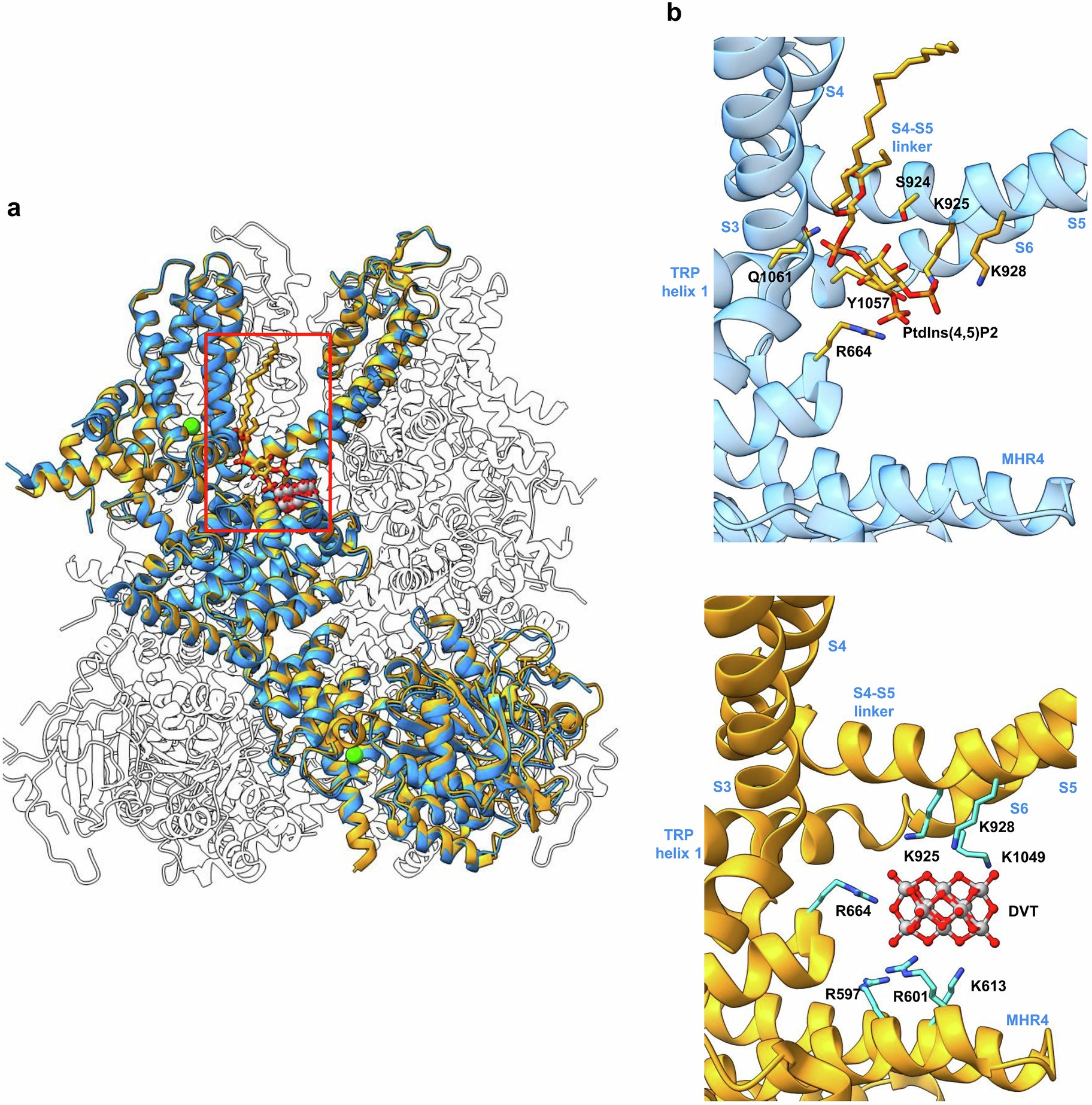 Extended Data Fig. 6