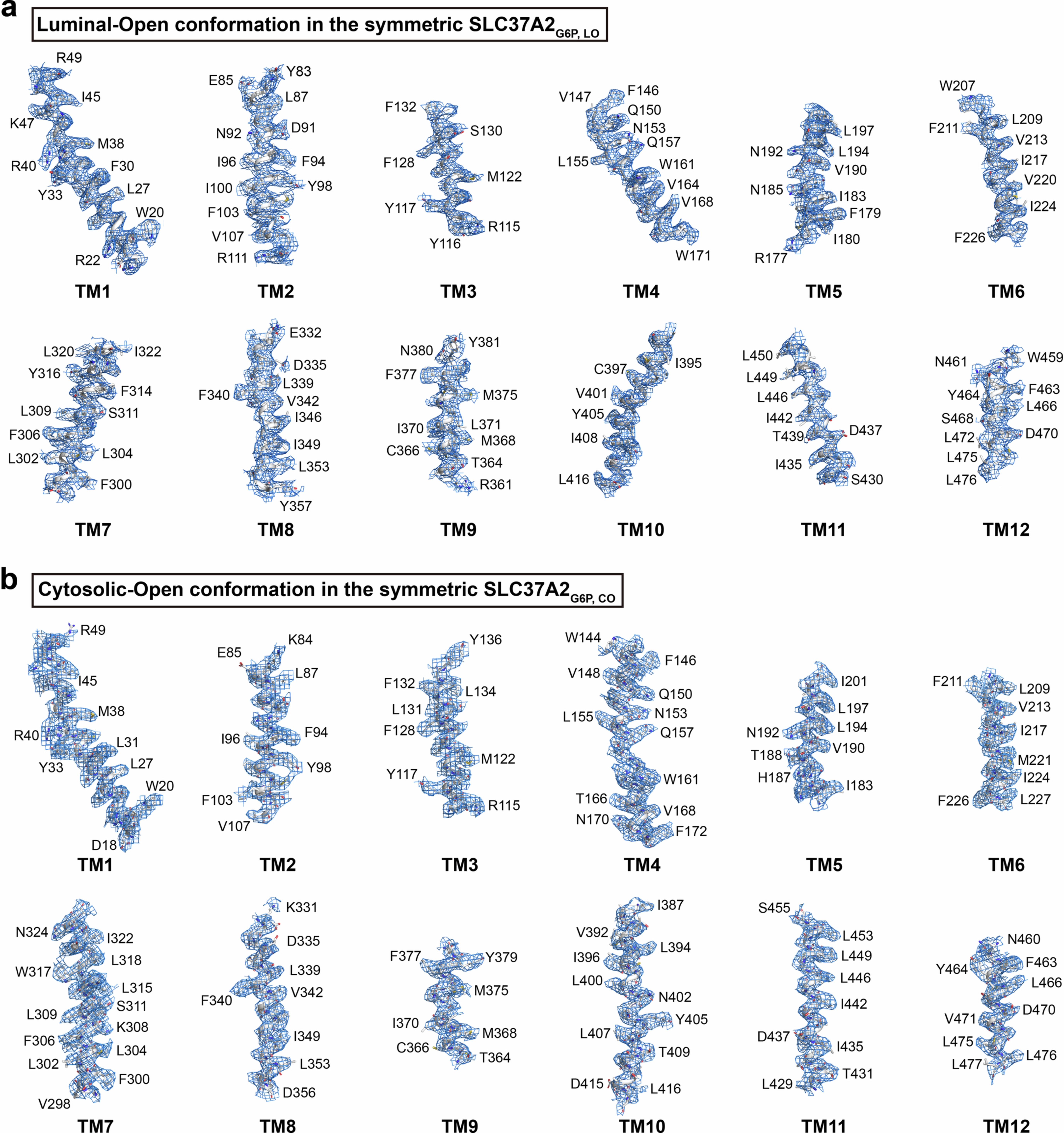 Extended Data Fig. 7