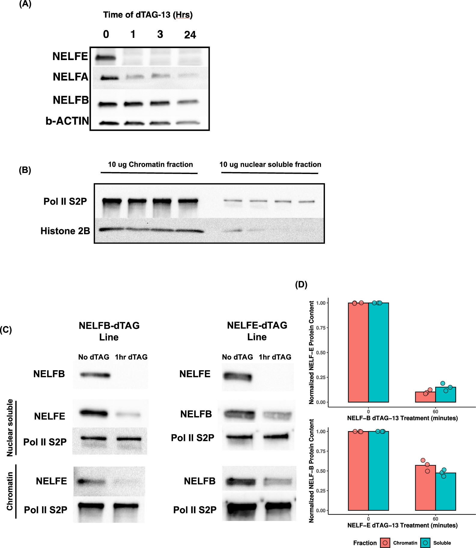 Extended Data Fig. 6