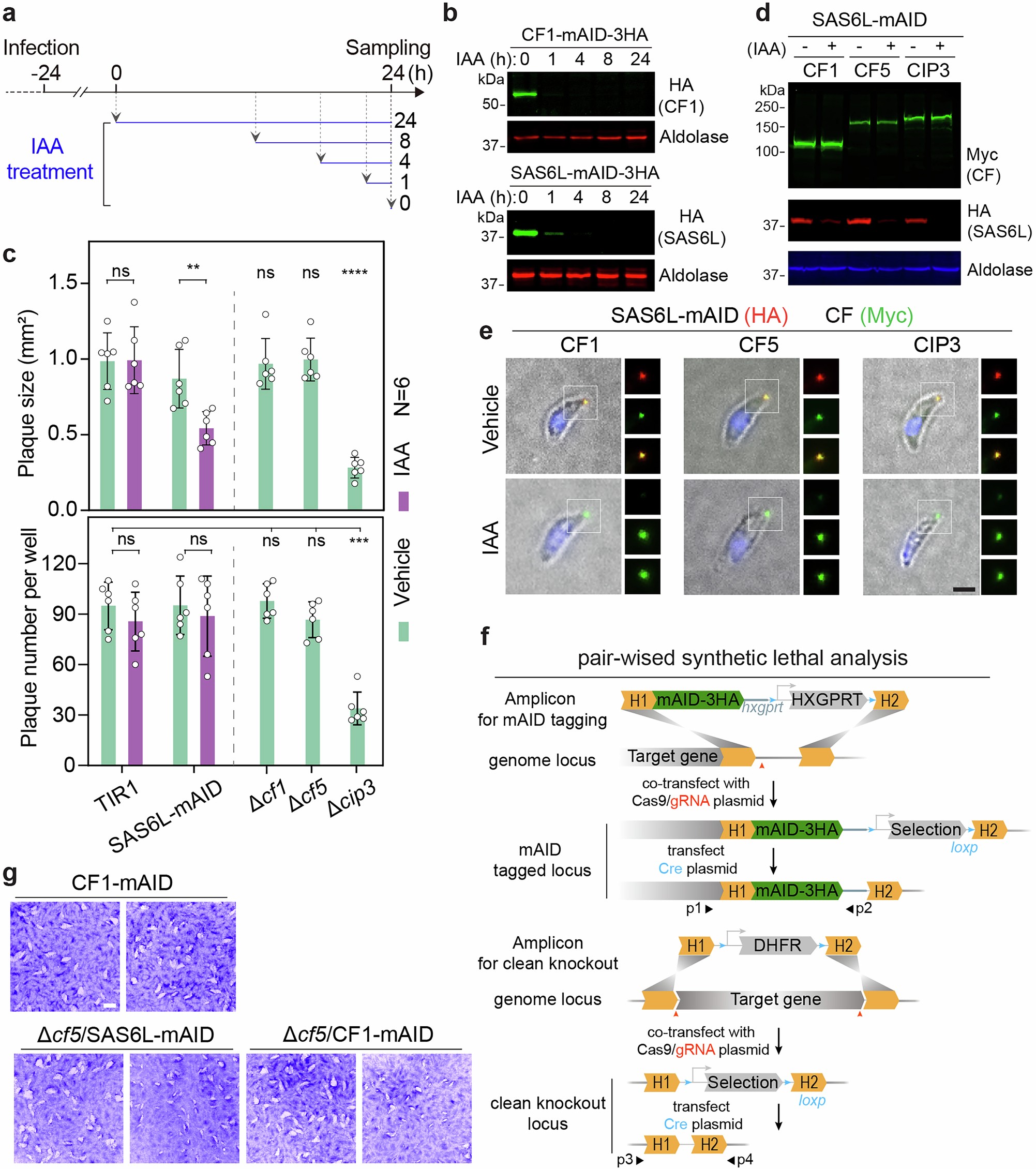 Extended Data Fig. 4