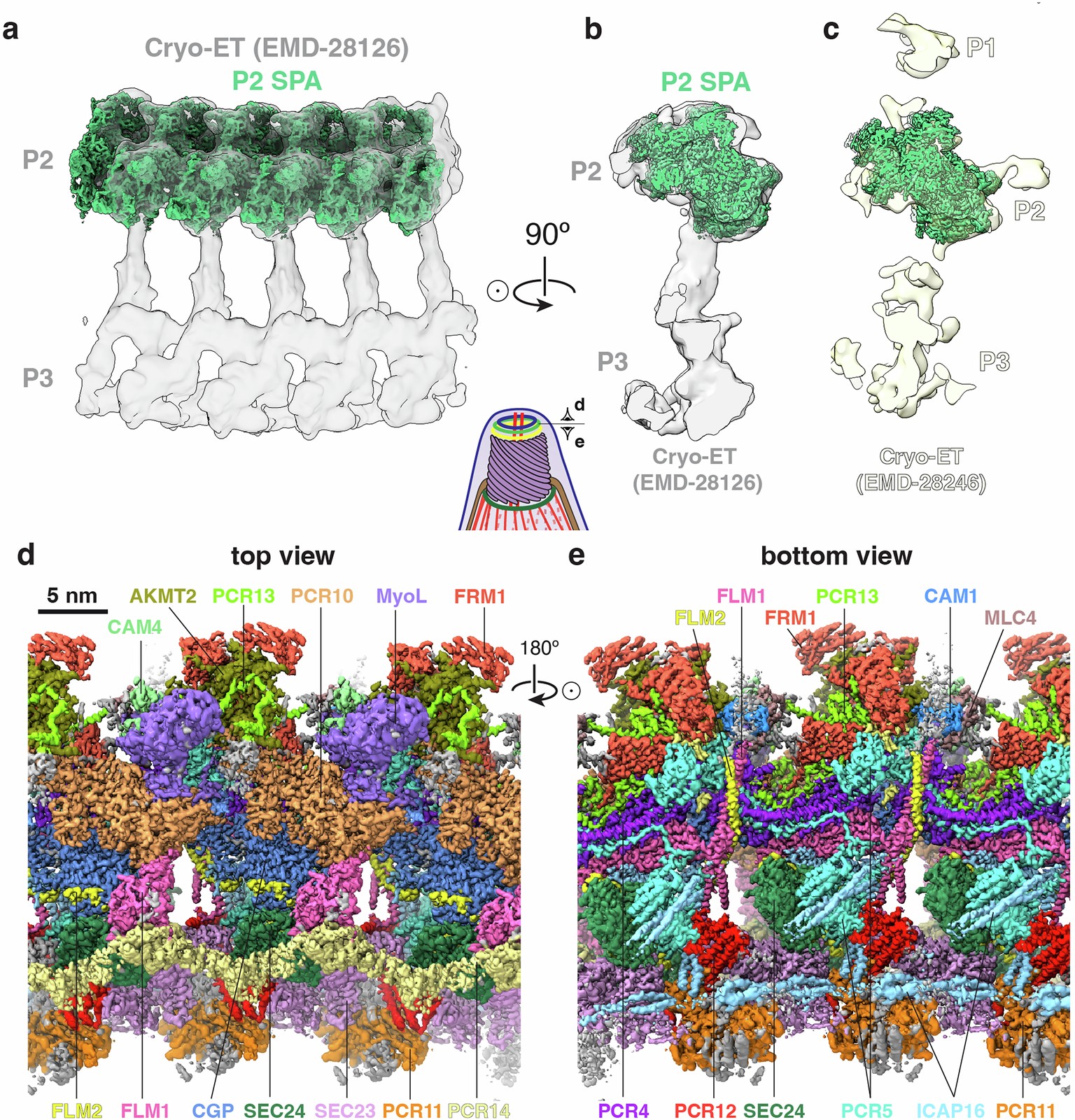 Extended Data Fig. 7