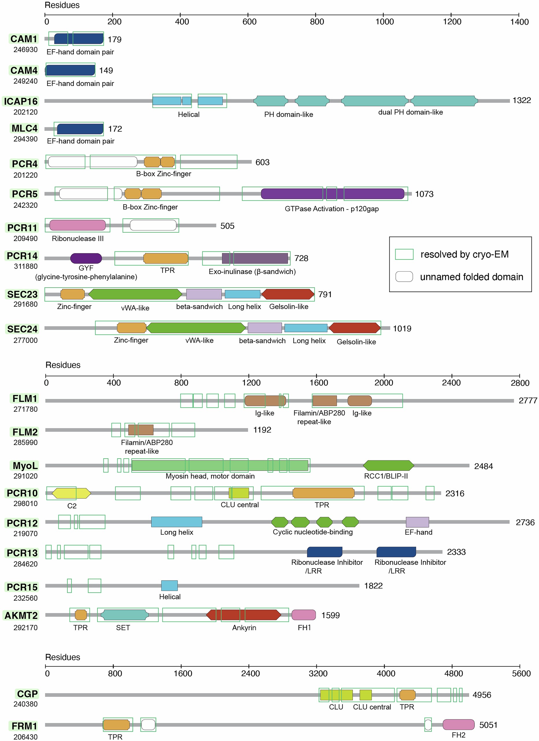Extended Data Fig. 8: Domain analysis of PCR-P2 component proteins.