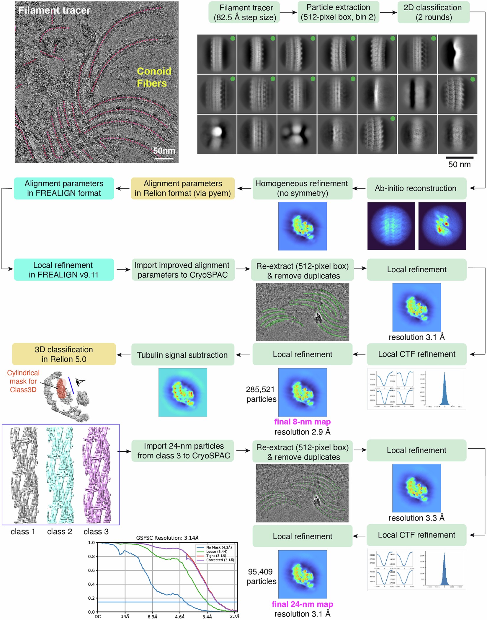 Extended Data Fig. 1