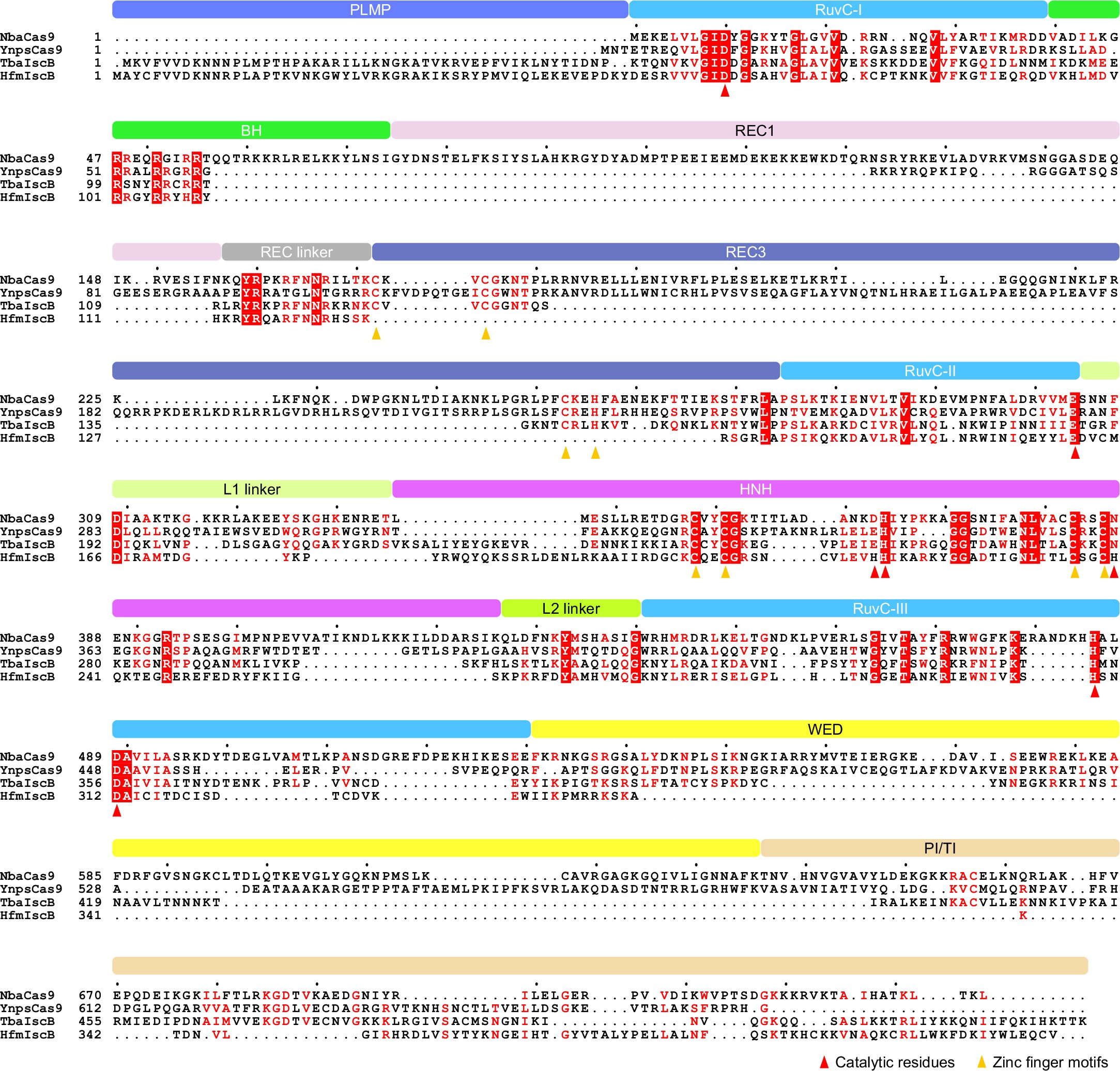 Extended Data Fig. 2