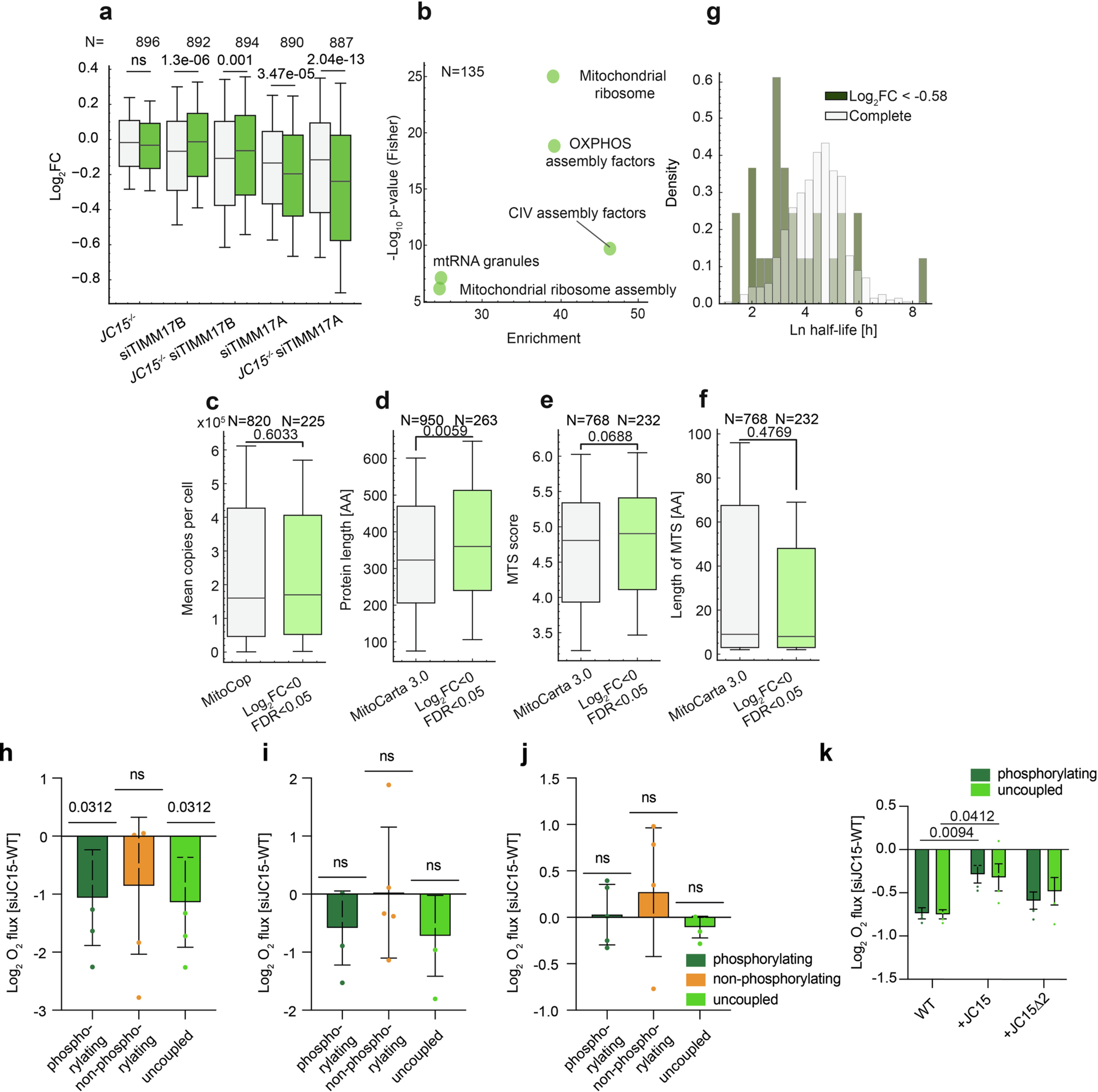 Extended Data Fig. 6: Acute DNAJC15 depletion affects protein import capacity and OXPHOS function.