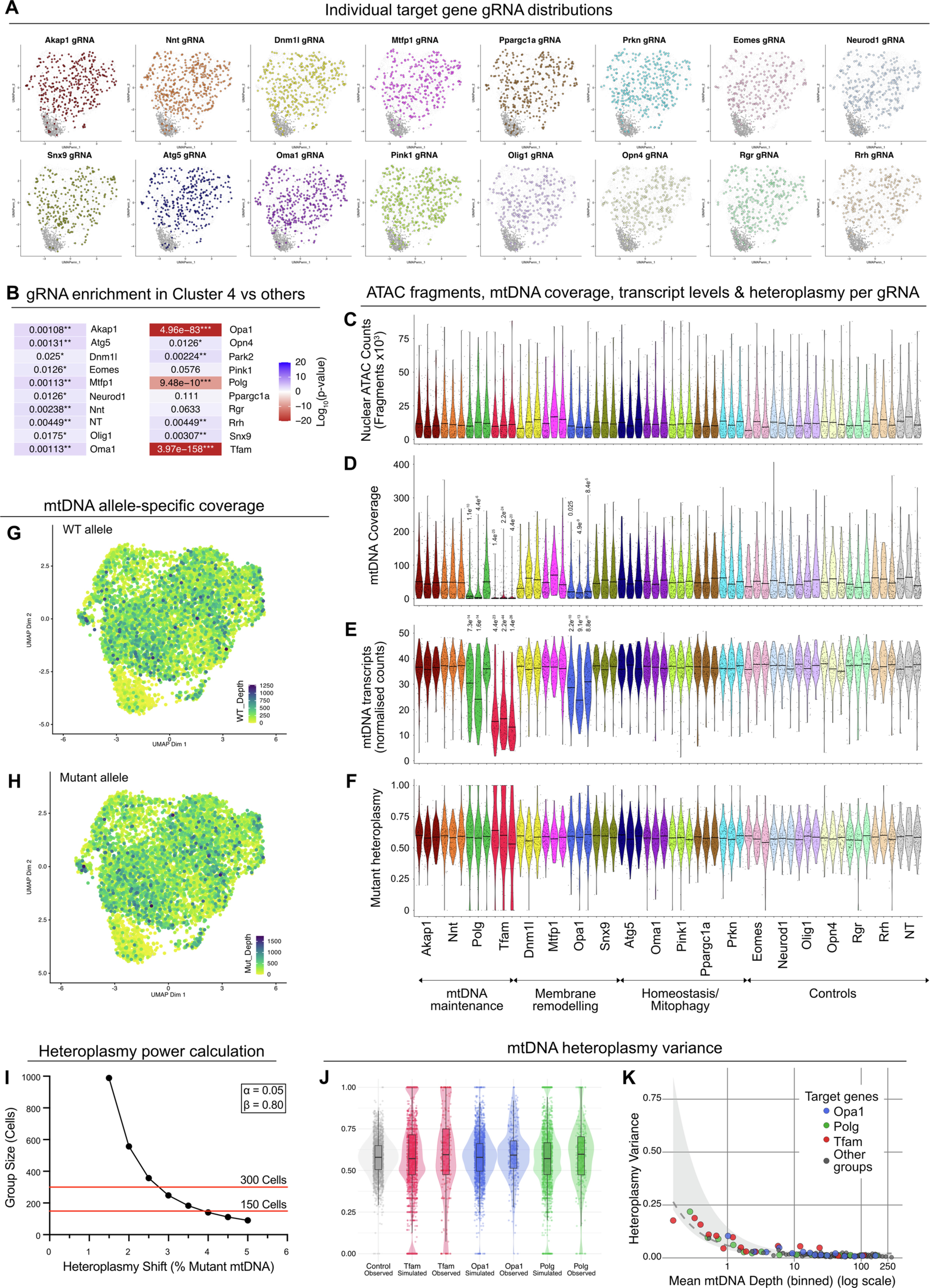 Extended Data Fig. 5: MitoPerturb-seq identifies mtDNA depletion following targeted gene perturbation.