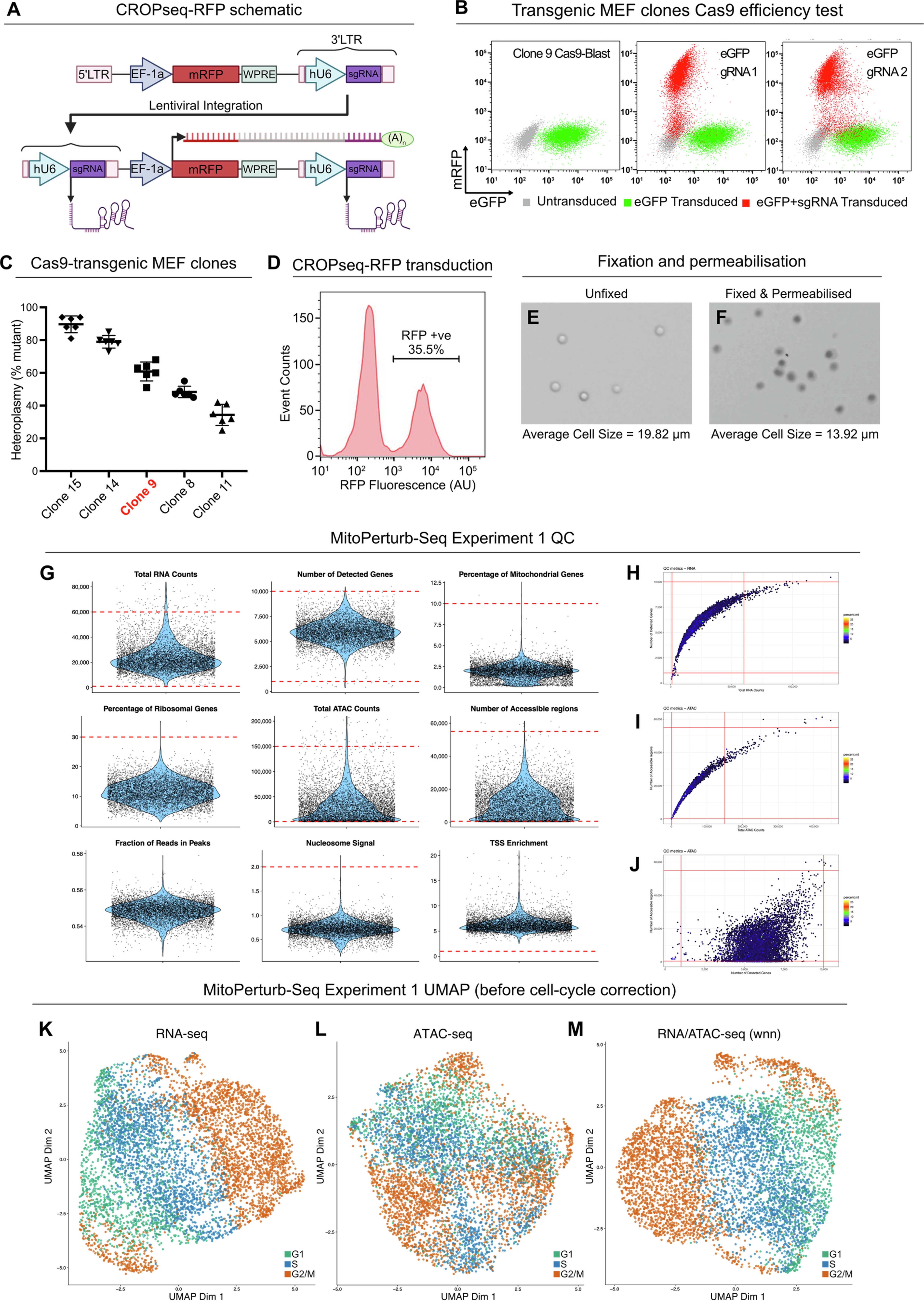 Extended Data Fig. 1: MitoPerturb-Seq and quality-control steps.