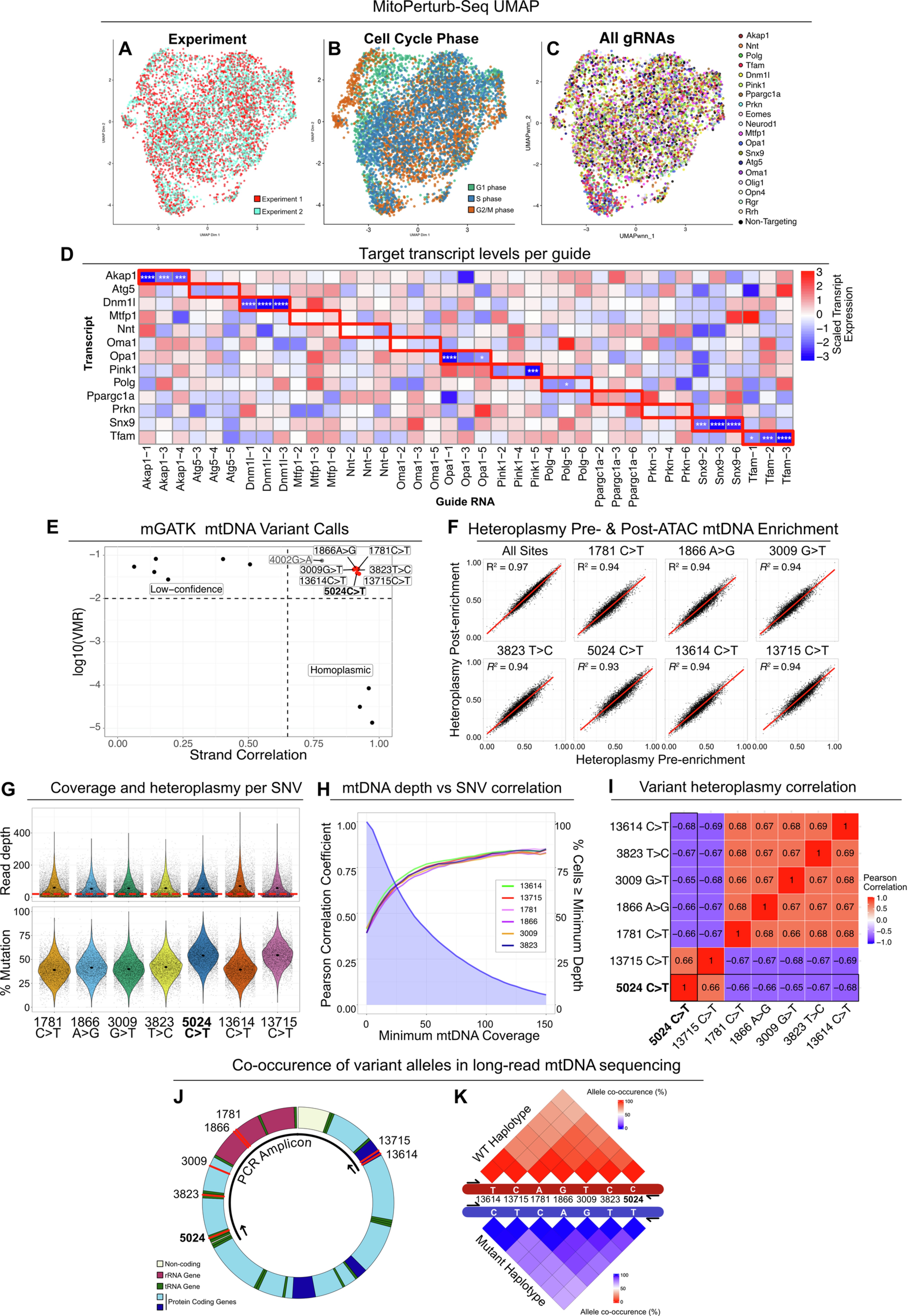 Extended Data Fig. 4: Data-integration, gRNA efficiency, co-segregation of heteroplasmic mtDNA variants.