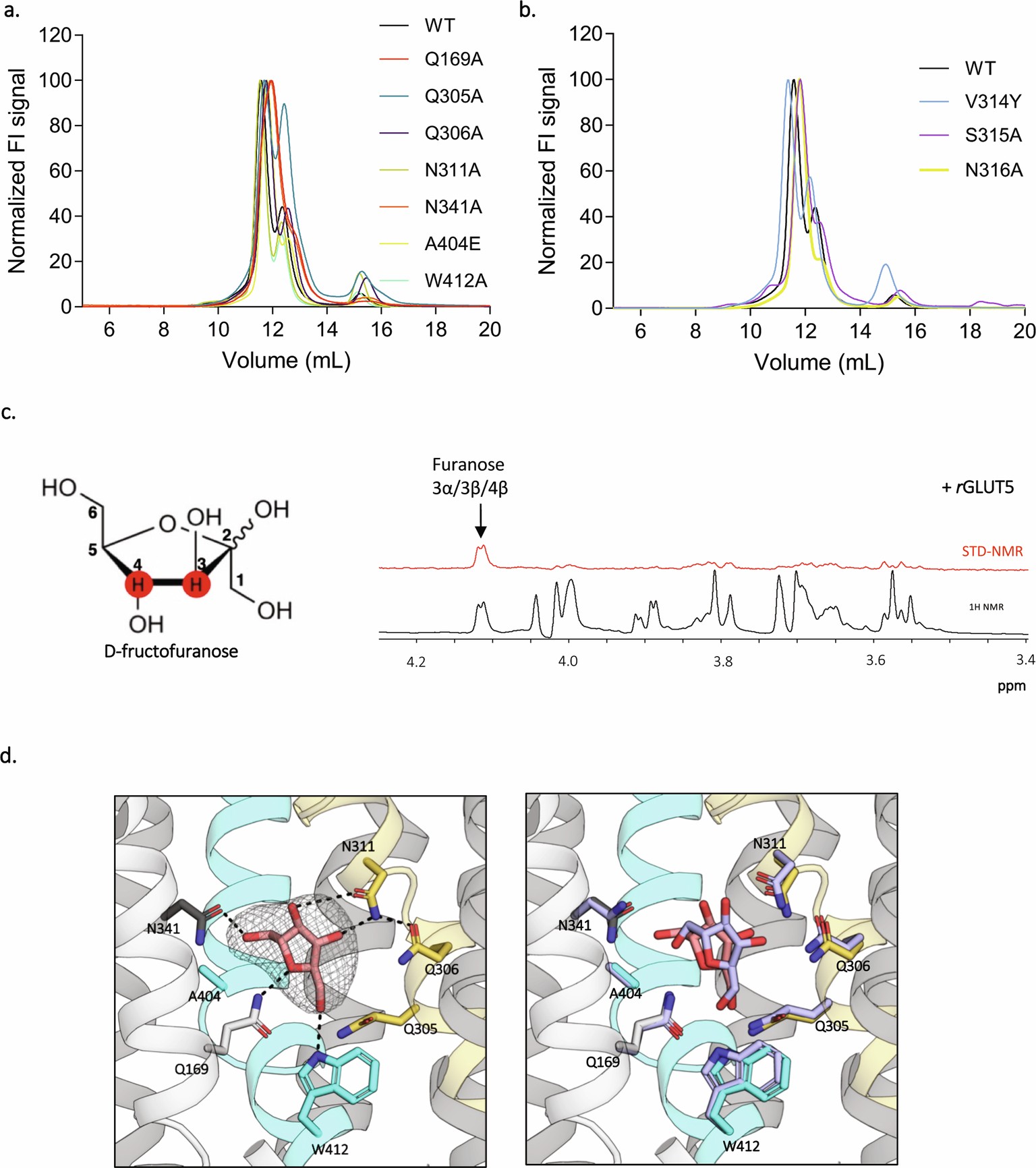 Extended Data Fig. 4: FSEC traces of PfHT1 constructs, rat GLUT5 interaction with D-fructose measured by STD NMR and crystal structure of PfHT1 in complex with 2,5-AHM.