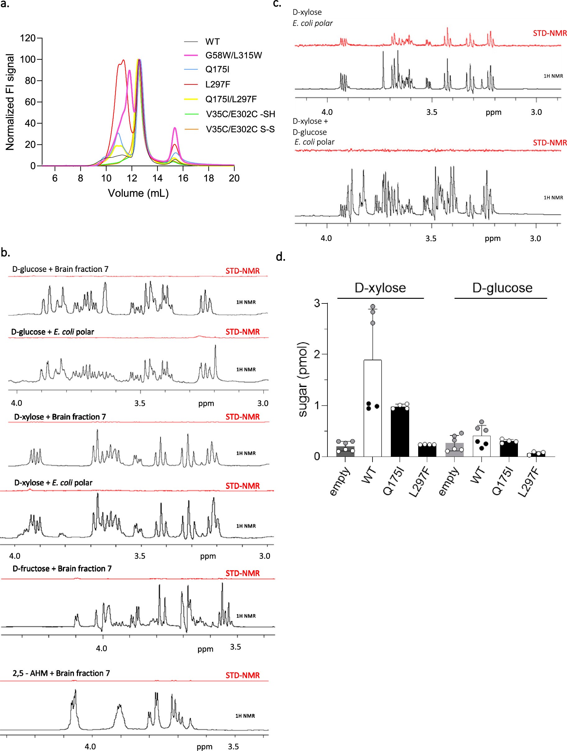 Extended Data Fig. 1: FSEC traces of XylE constructs, STD NMR control and competition experiments, and XylE sugar binding or gating helix mutant transport assay.