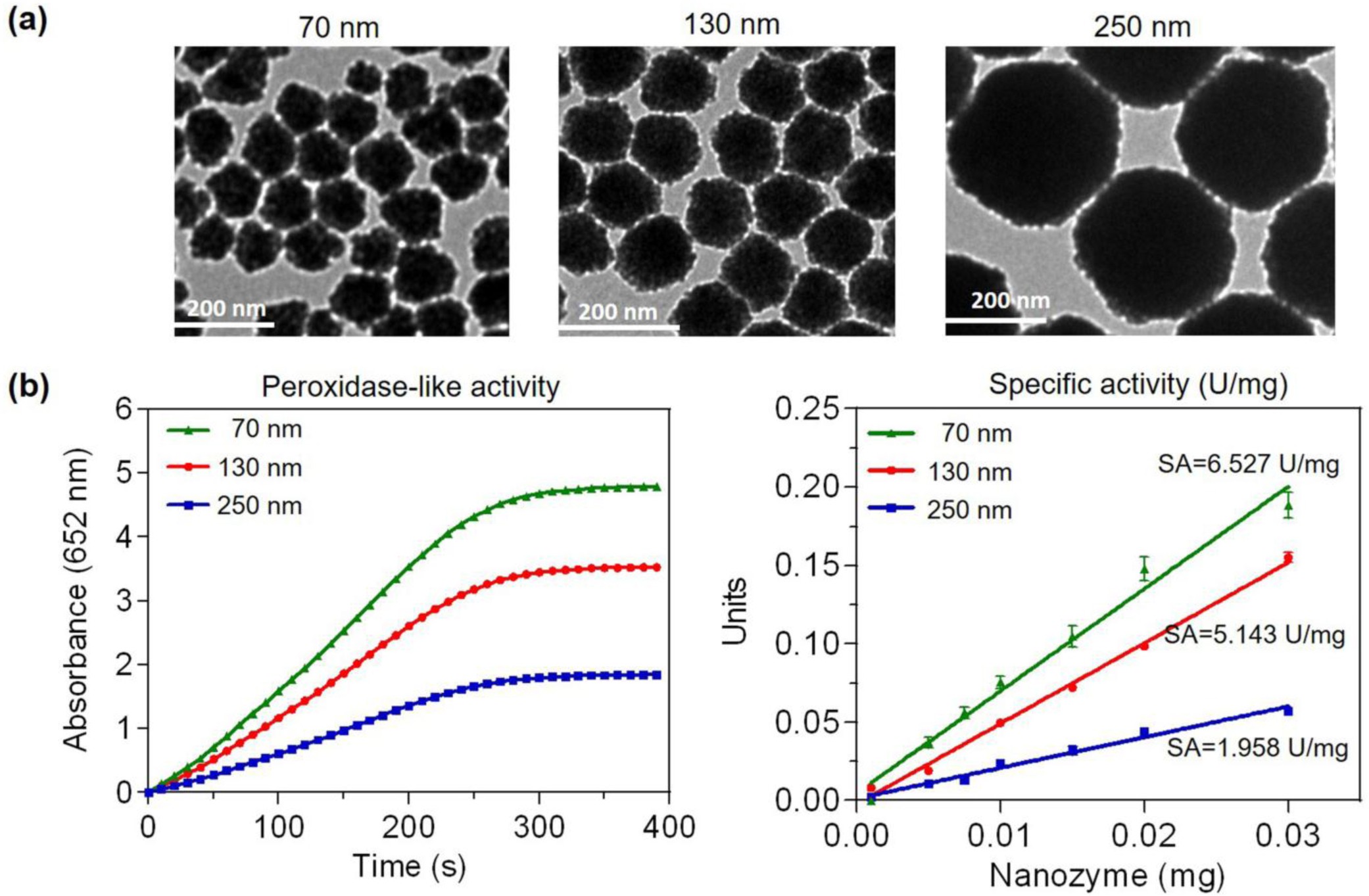 Supplementary Figure 2: Size-dependent peroxidase-like activity of Fe3O4 nanozymes.