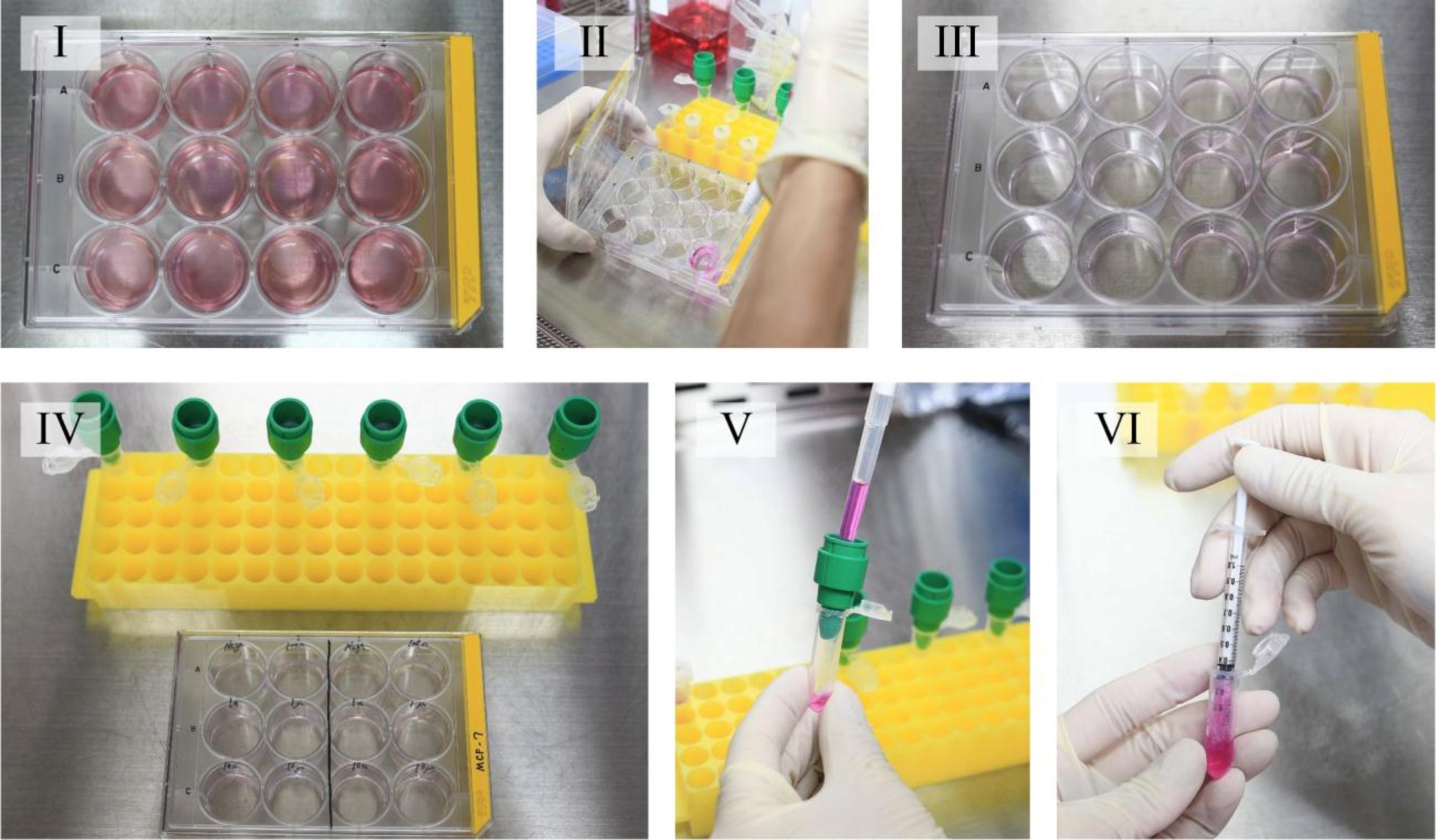 Supplementary Figure 5