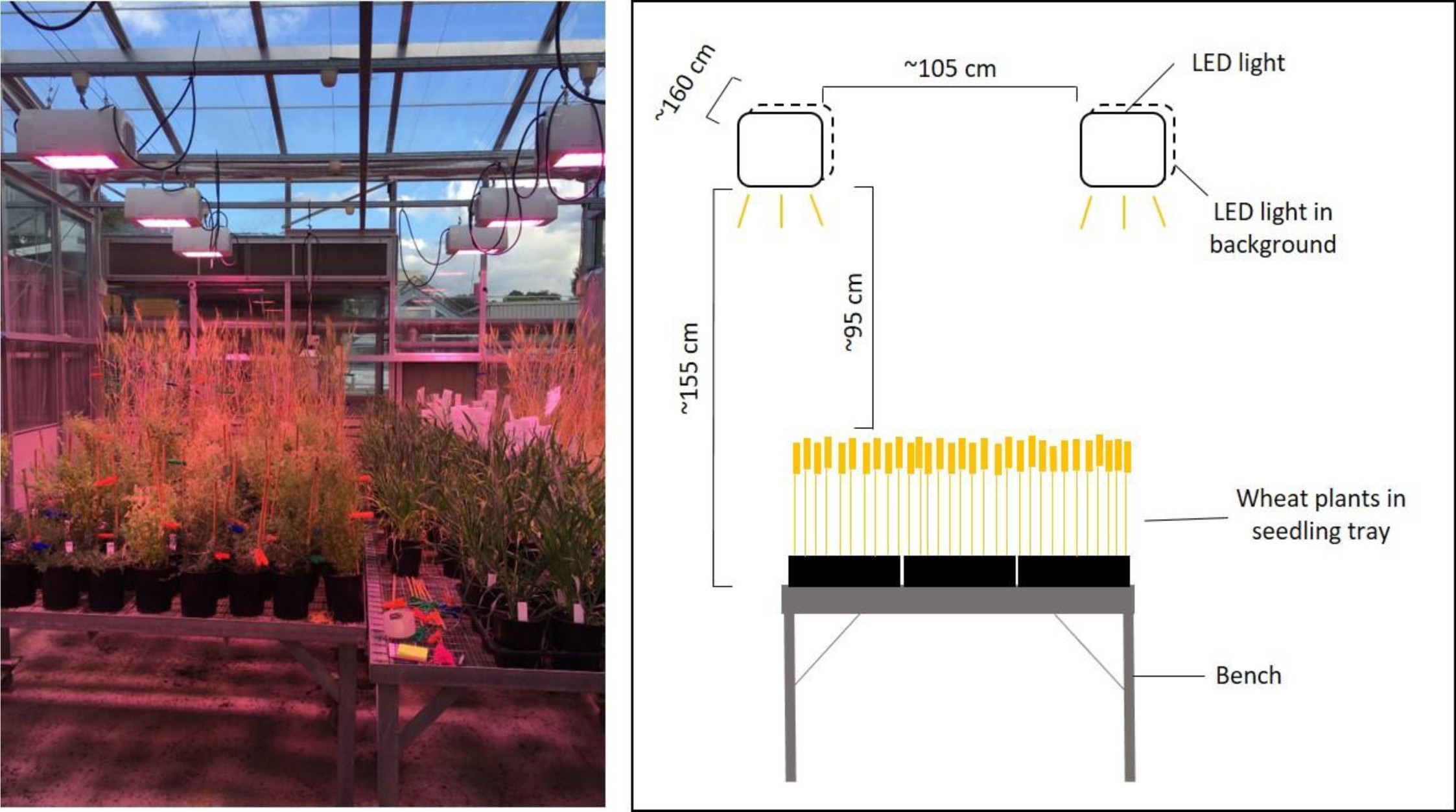 Supplementary Figure 10