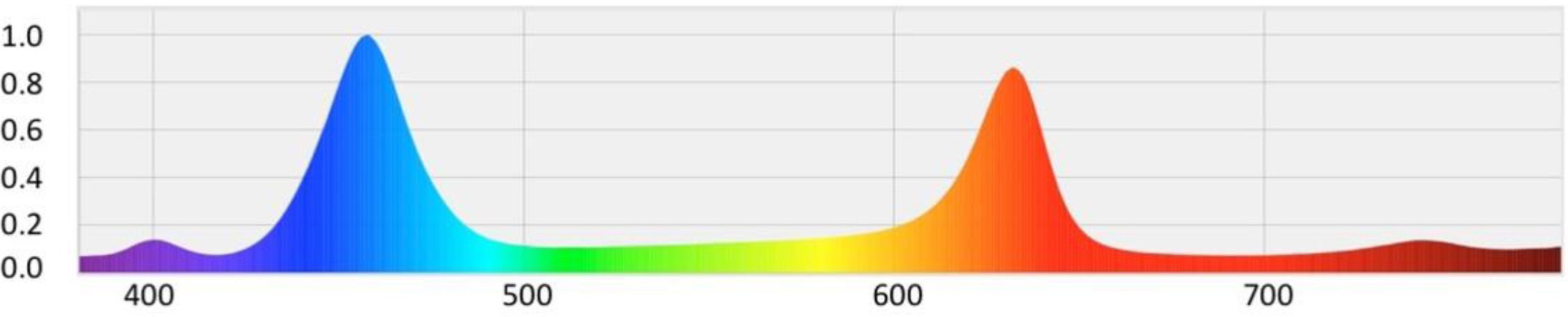 Supplementary Figure 5