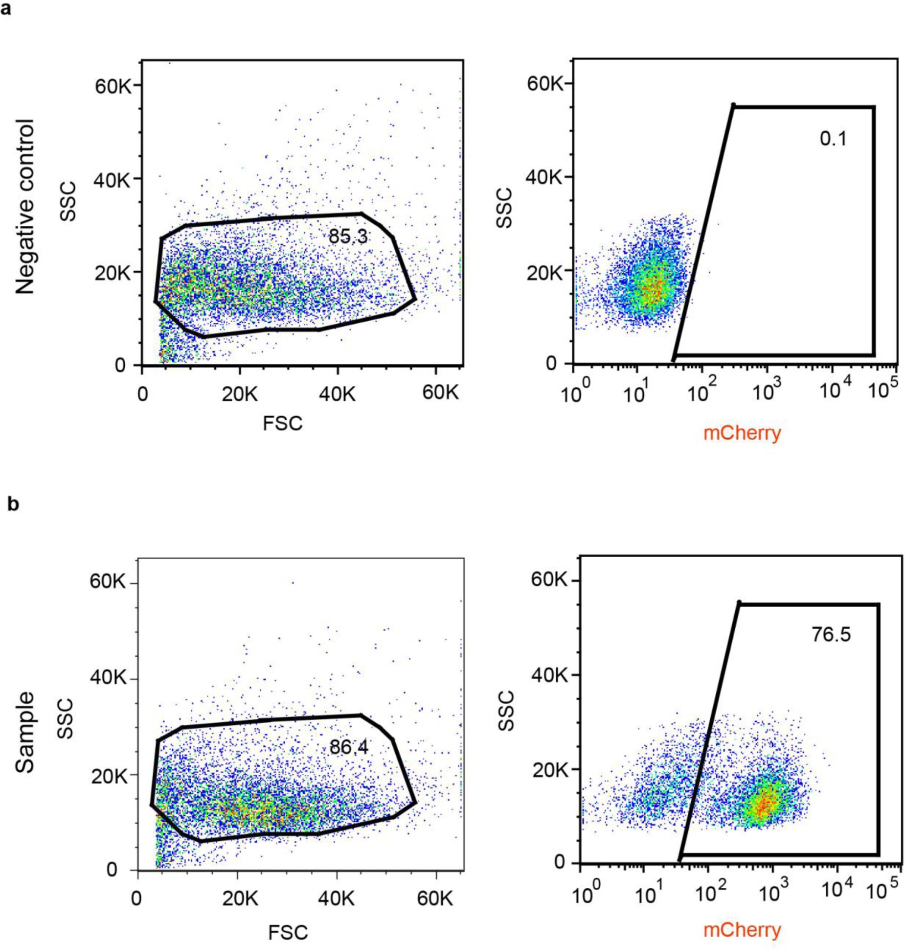 Supplementary Figure 2