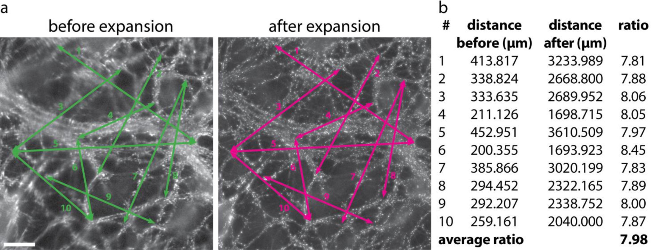 Supplementary Figure 1