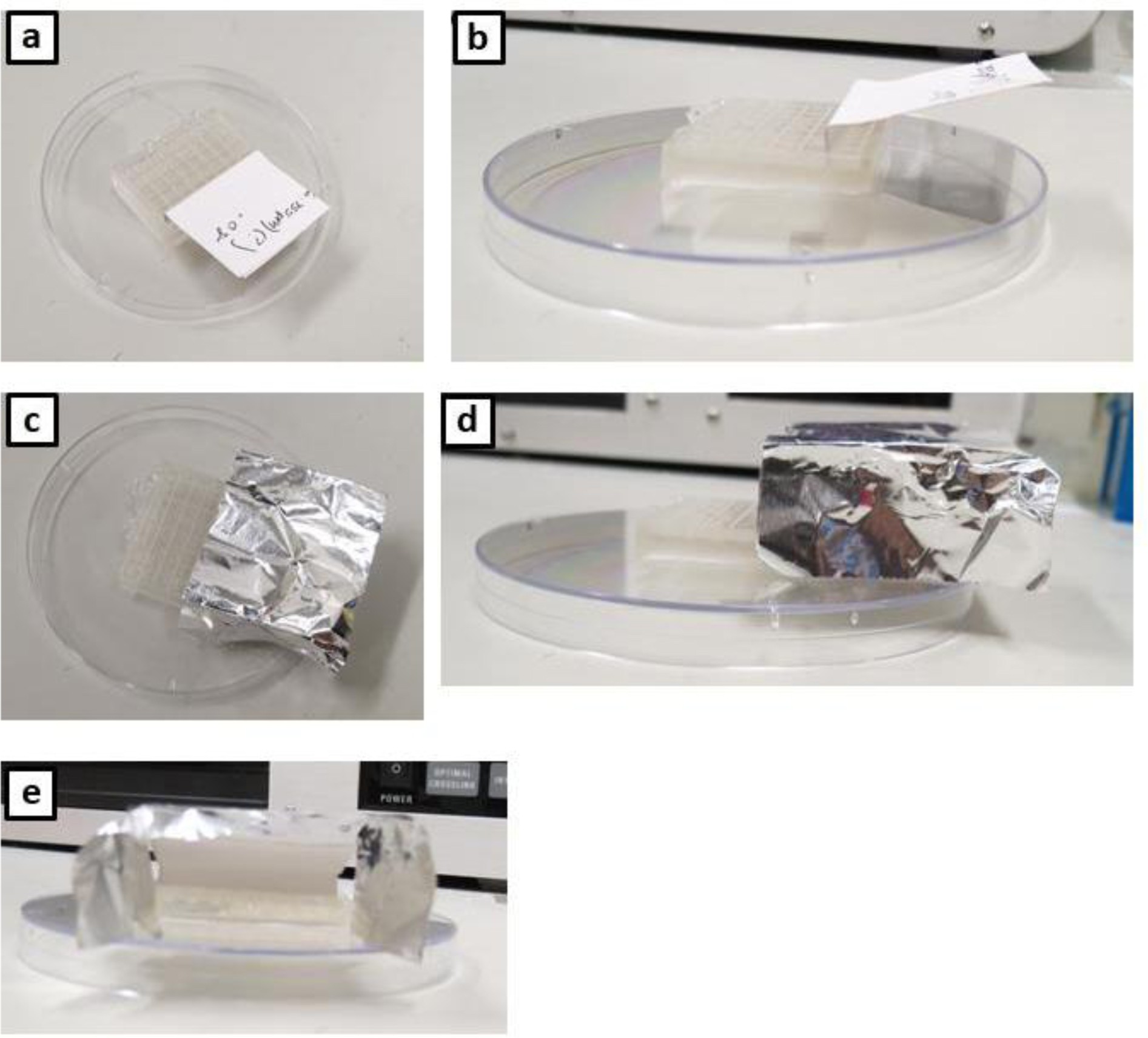Supplementary Figure 3