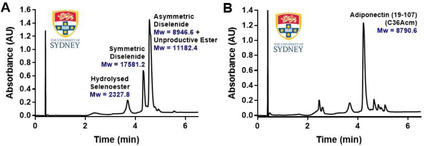 Supplementary Fig. 4.