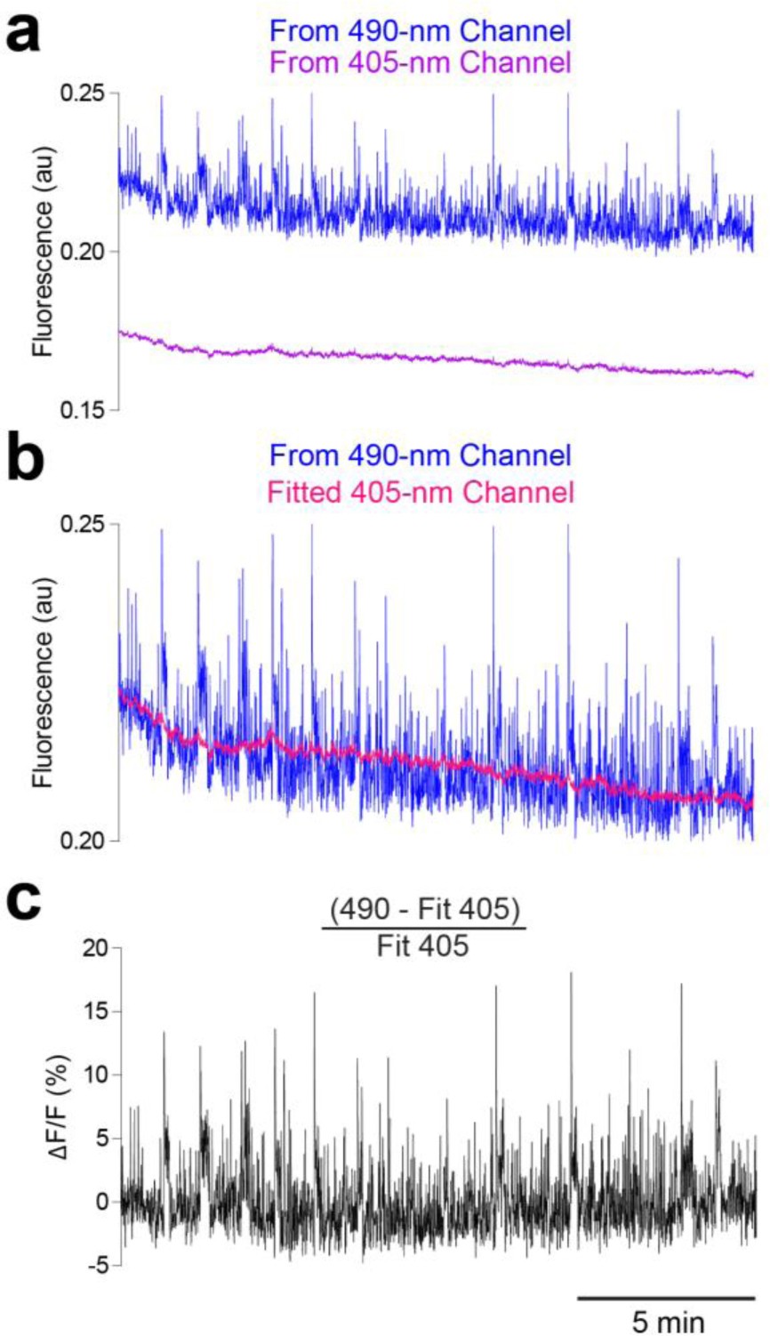 Supplementary Fig. 5