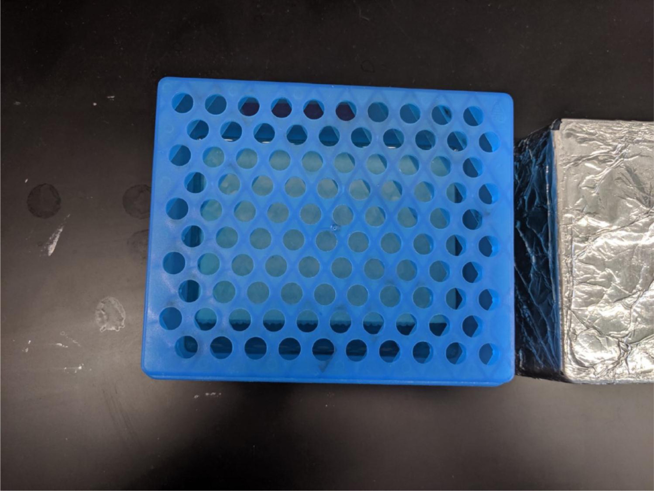 Supplementary Fig. 5