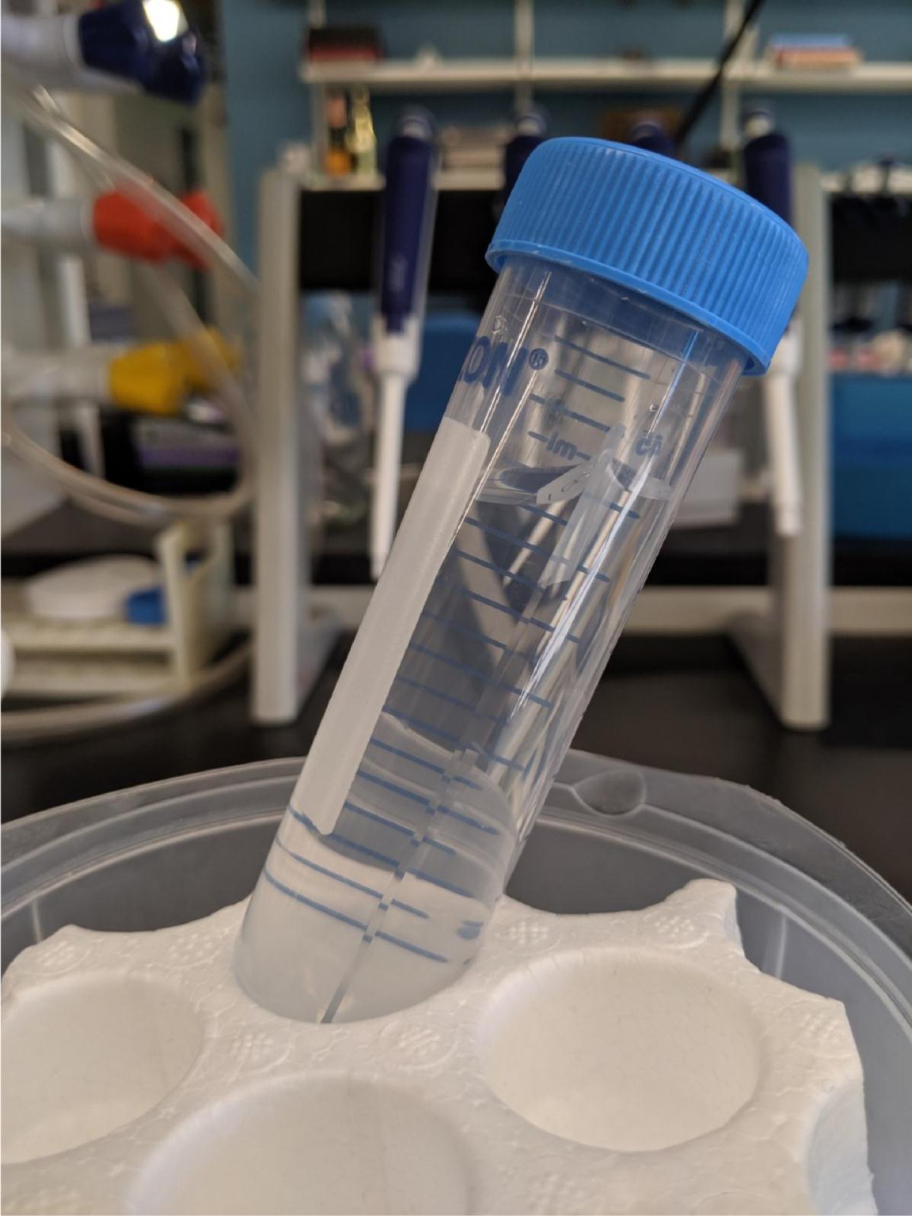 Supplementary Fig. 3