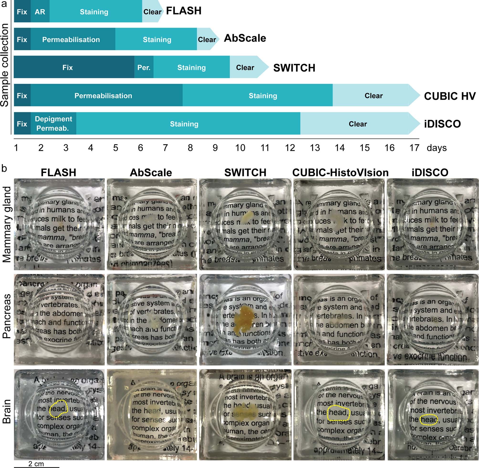 Extended Data Fig. 5: Time and clearing comparison in FLASH (reagent 1) and other methods.