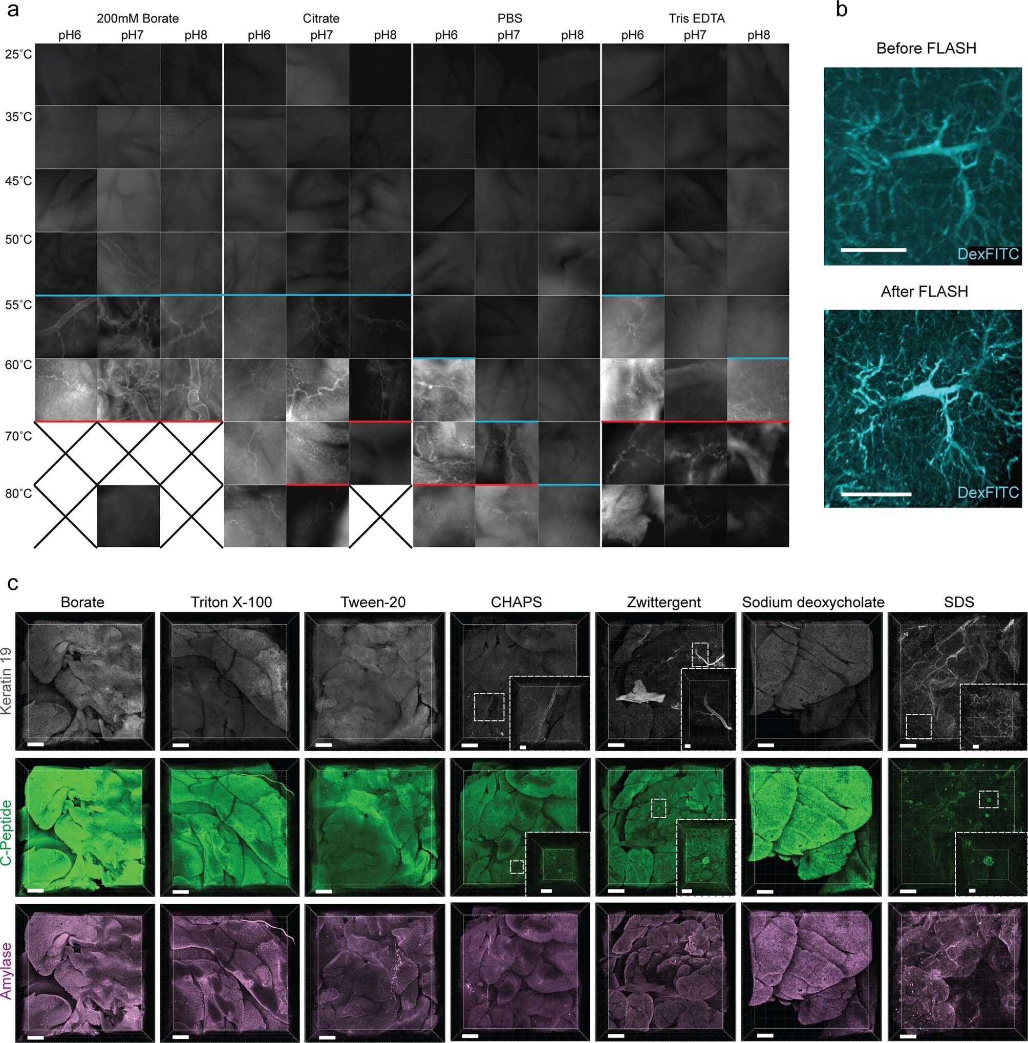 Extended Data Fig. 1: Influence of buffer, pH, temperature and detergent on antigen retrieval.