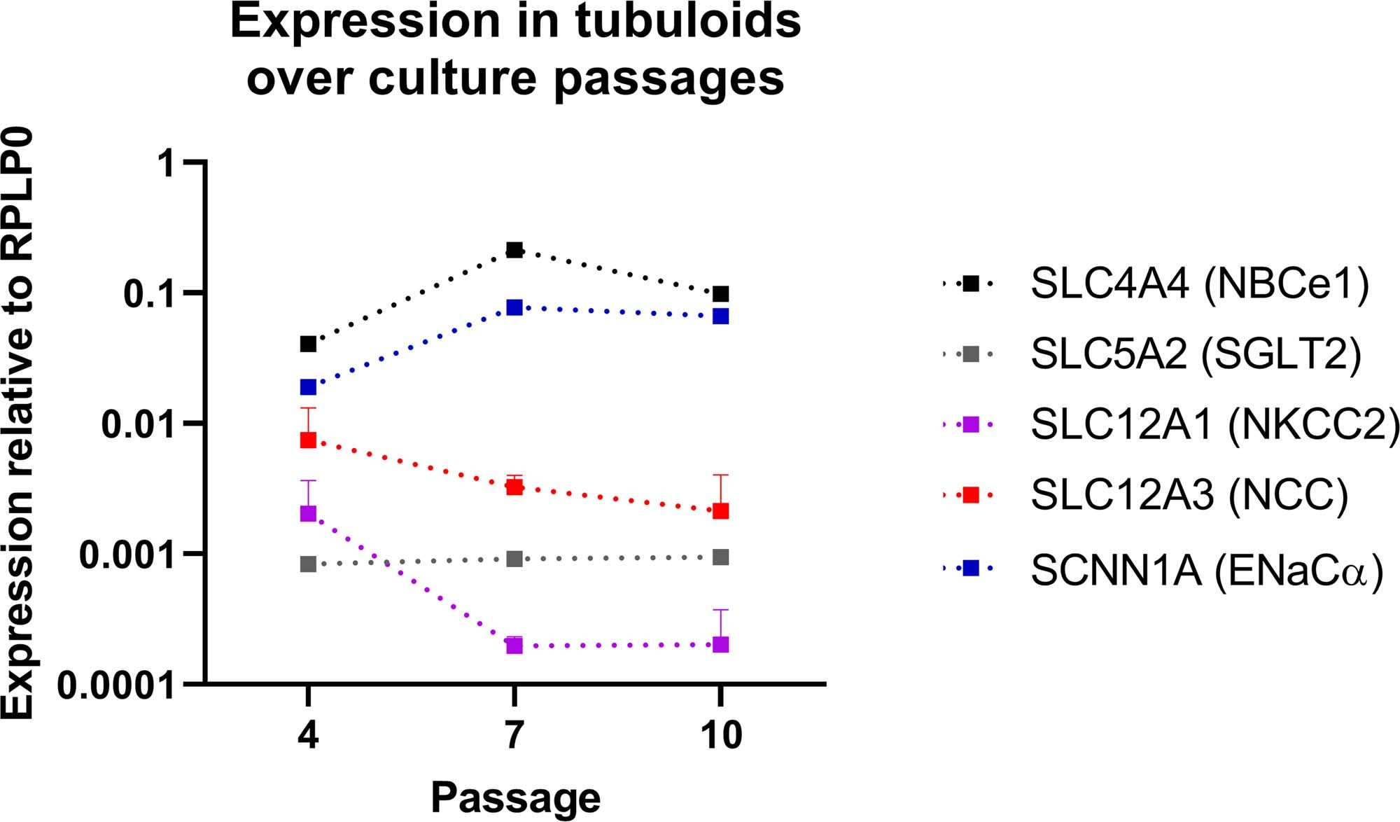 Extended Data Fig. 1: Expression levels of markers of the different nephron segments are stable in tubuloids over multiple passages, except for a decrease in the loop of Henle–specific transporter SLC12A1/NKCC2.