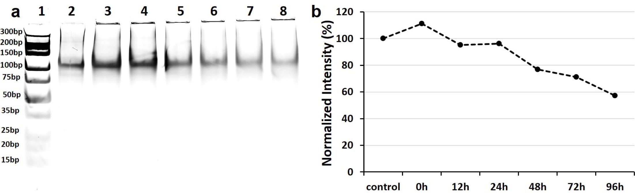 Supplementary Figure 11