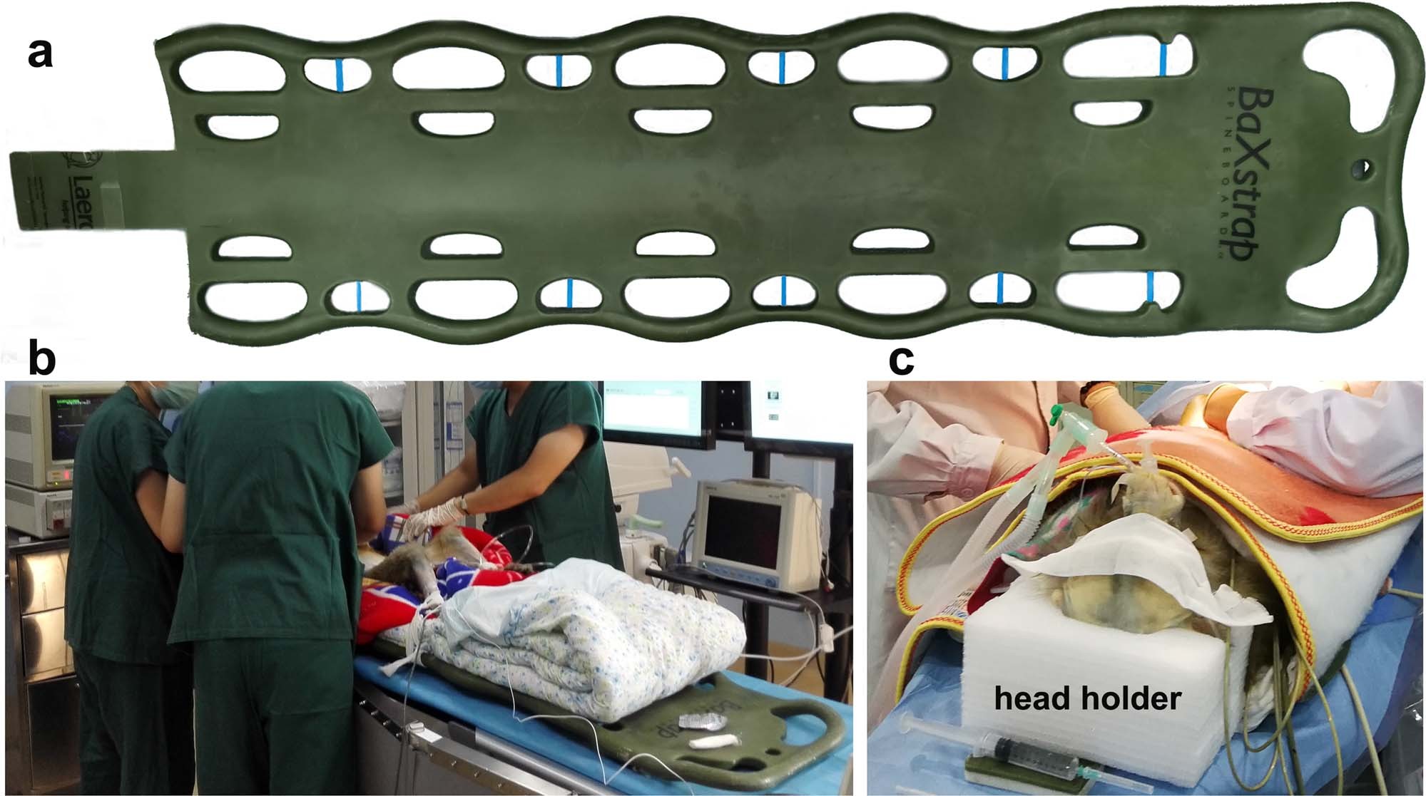 Extended Data Fig. 4: The schematic diagram of the stretcher and head holder.