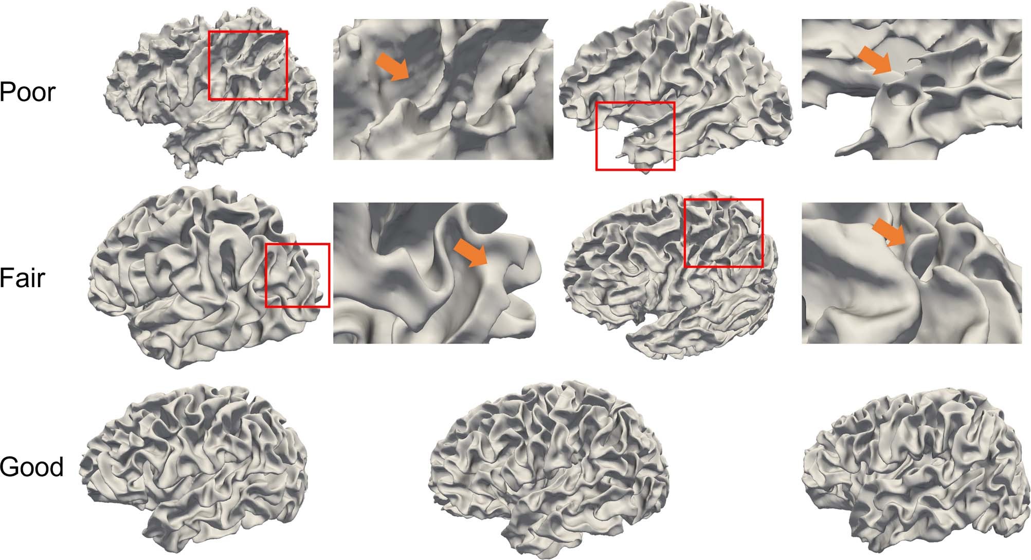 Extended Data Fig. 6