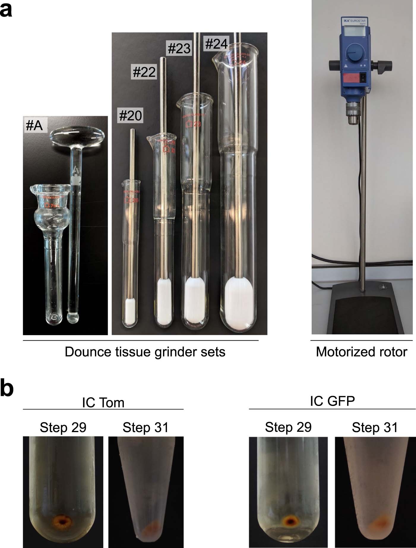 Extended Data Fig. 3: Essential equipment for the tissue homogenization Step 16.