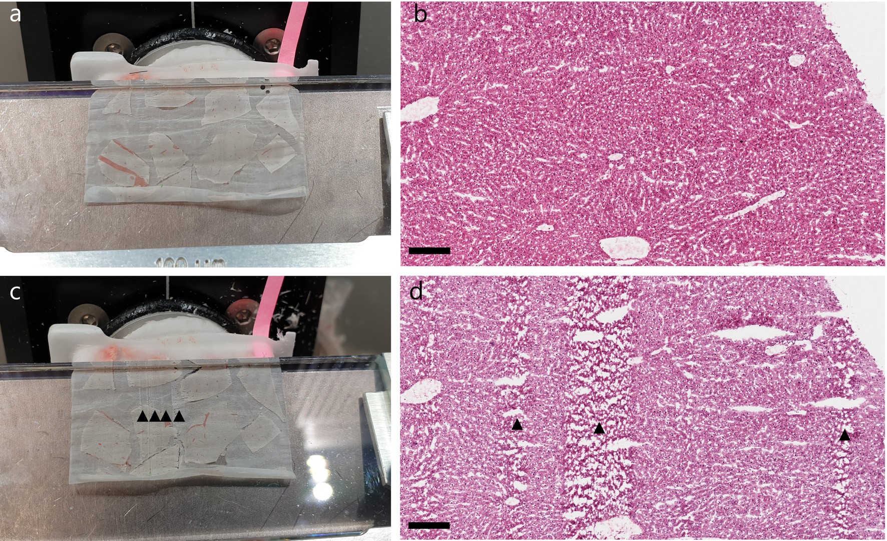 Extended Data Fig. 5: Troubleshooting of a damaged blade or anti-rolling plate.