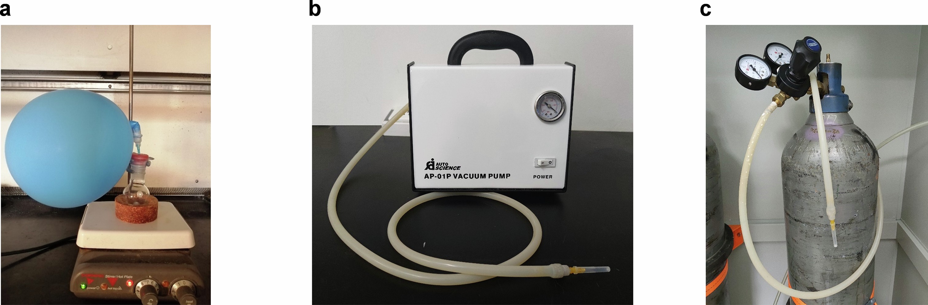 Extended Data Fig. 1