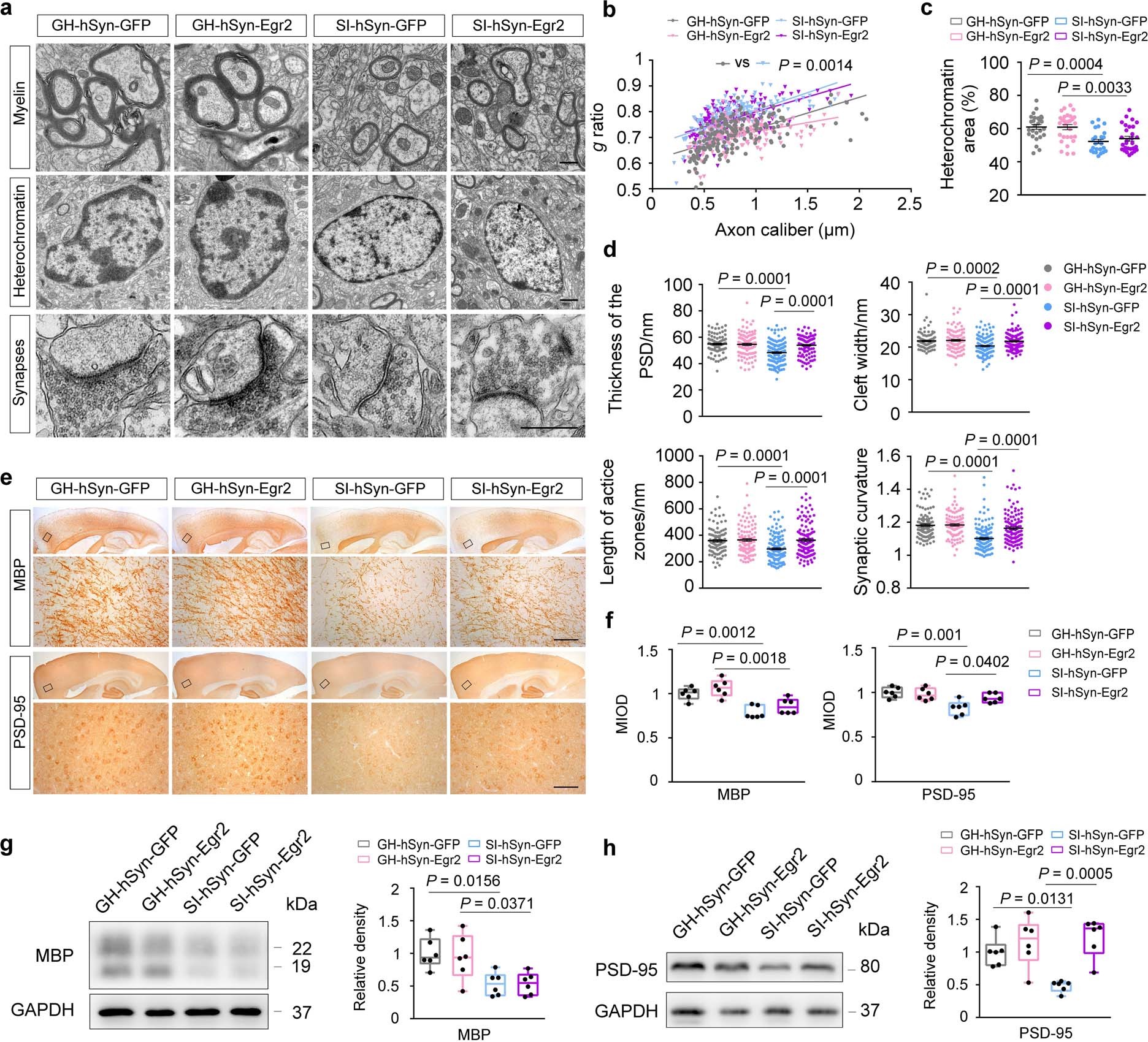 Extended Data Fig. 10