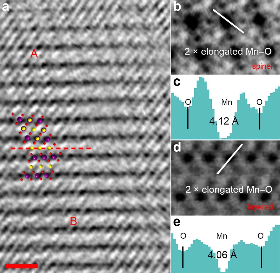 Extended Data Fig. 10: STEM image and Mn–O bonds.