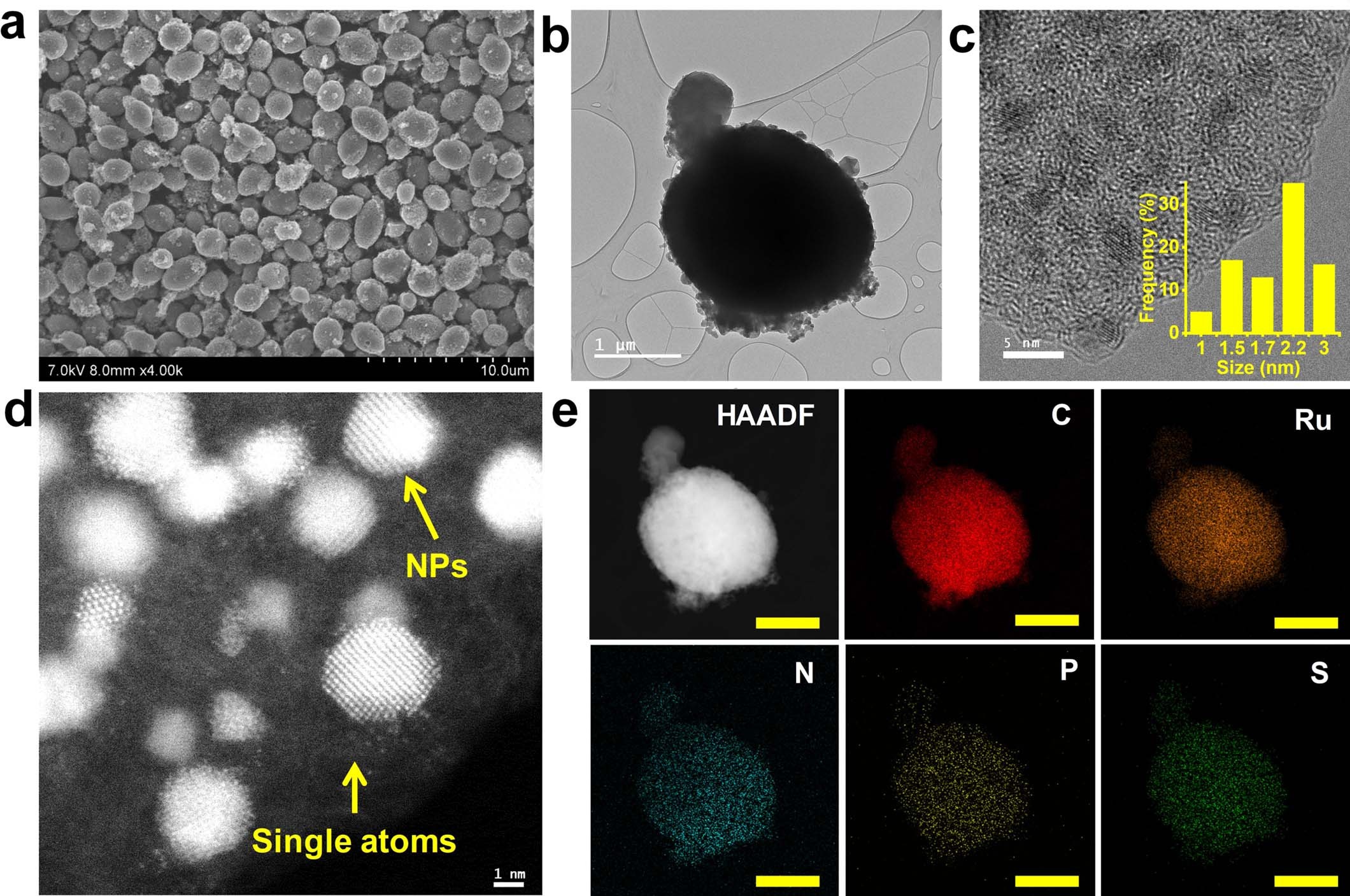 Extended Data Fig. 8