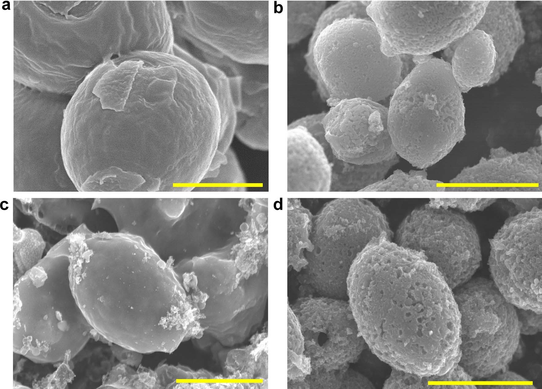 Extended Data Fig. 2