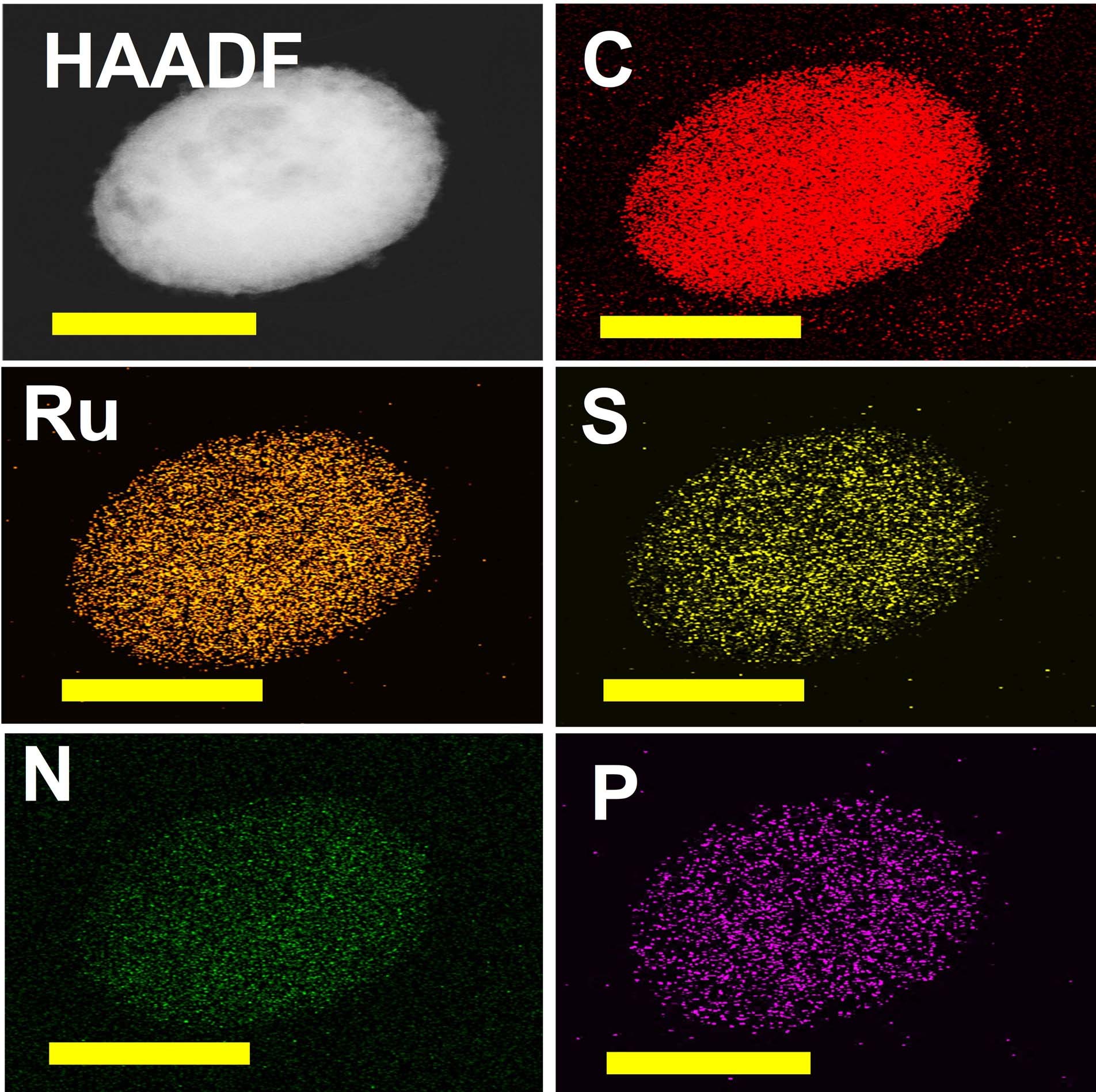 Extended Data Fig. 3