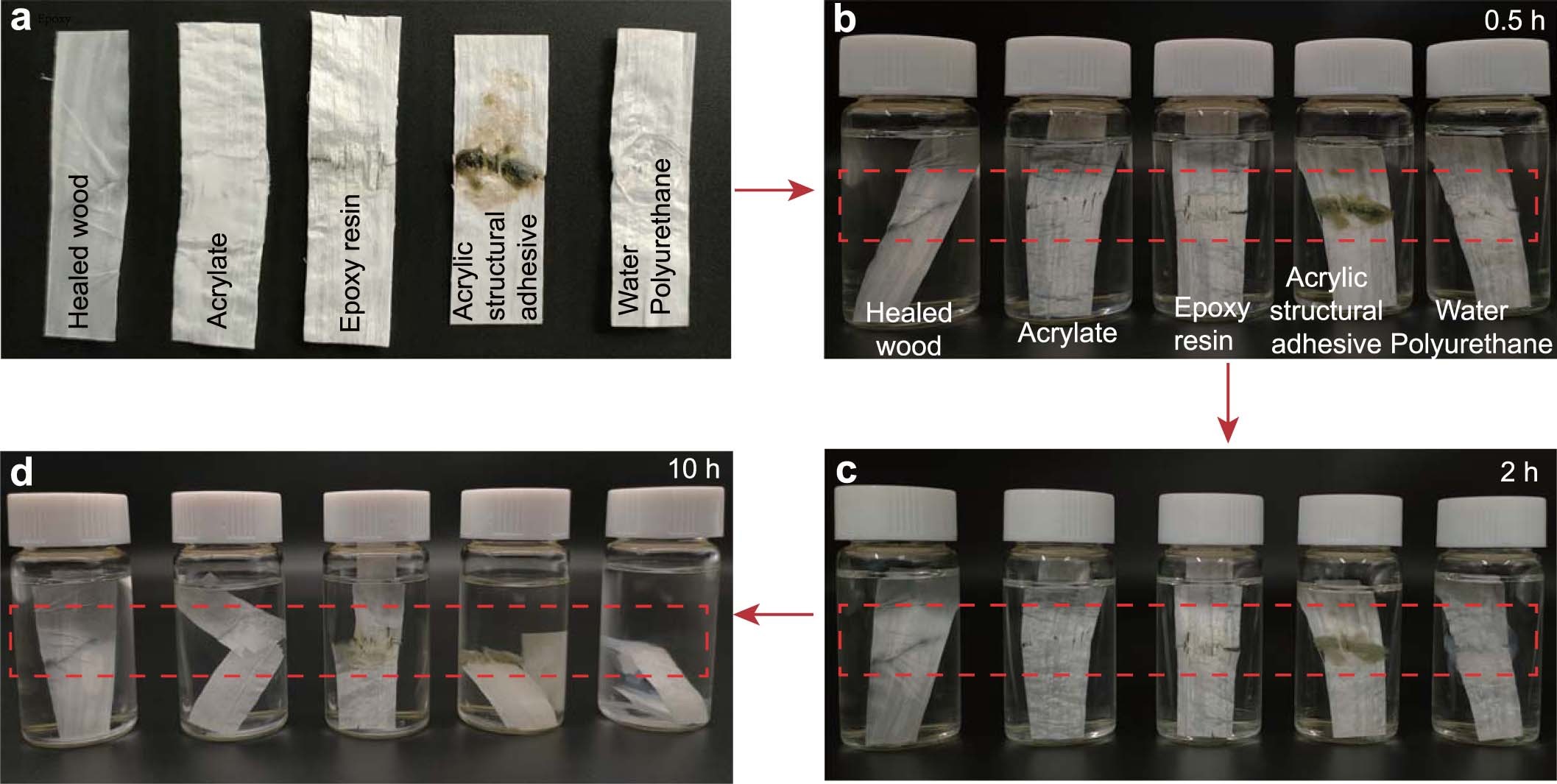 Extended Data Fig. 6