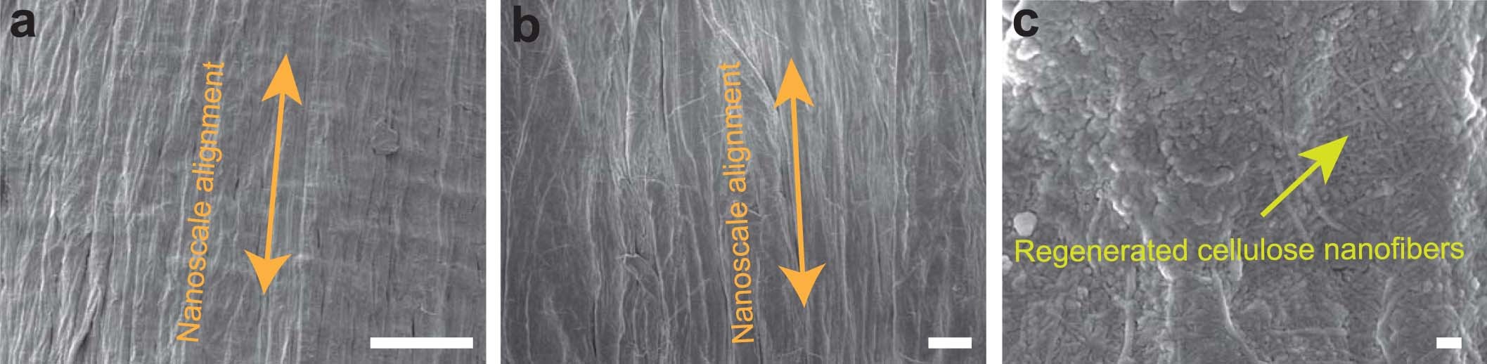 Extended Data Fig. 4