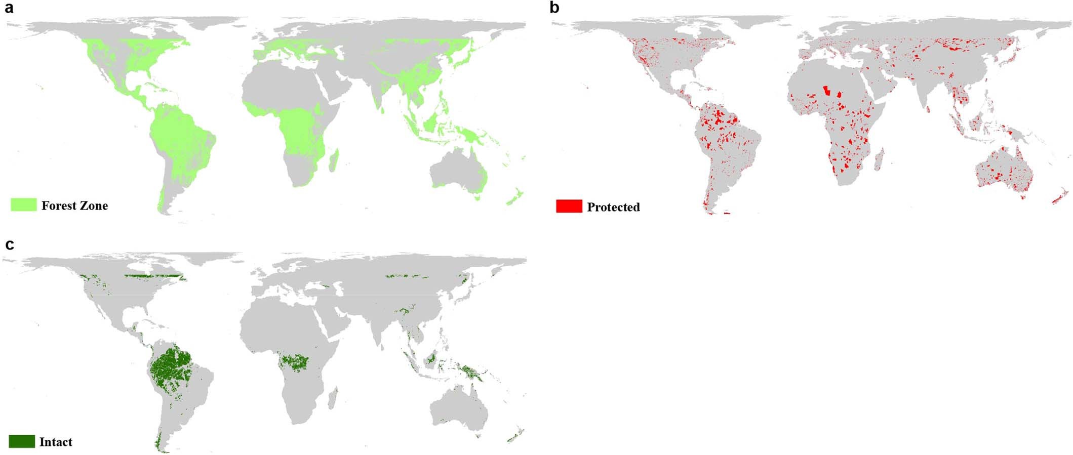 Extended Data Fig. 1: Global forest zones within the observation coverage of GEDI satellite.