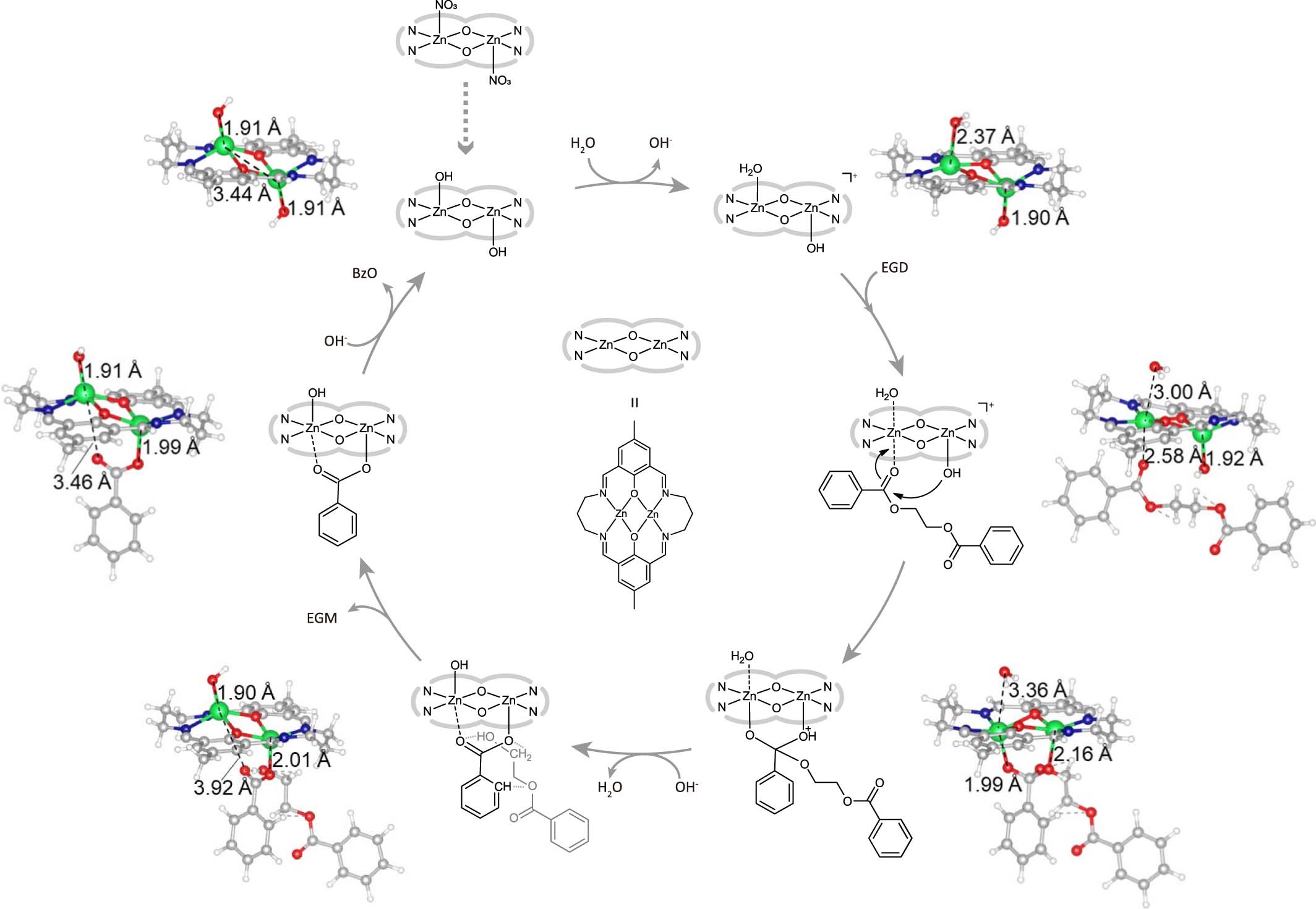 Extended Data Fig. 2: The PET hydrolysis mechanism proposed based on experimental and DFT results.