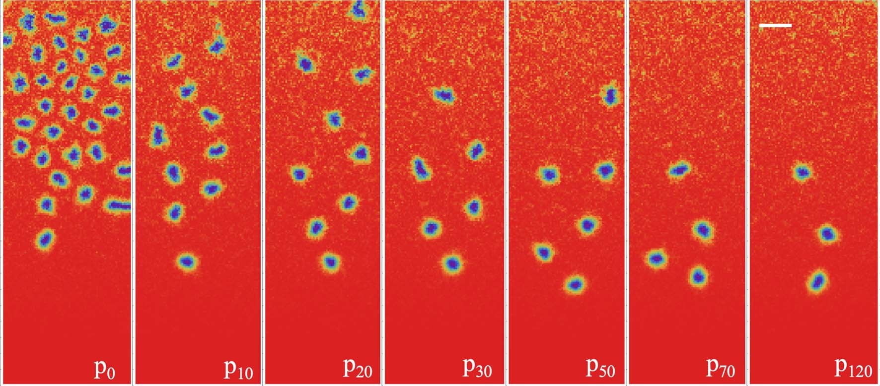 Extended Data Fig. 8