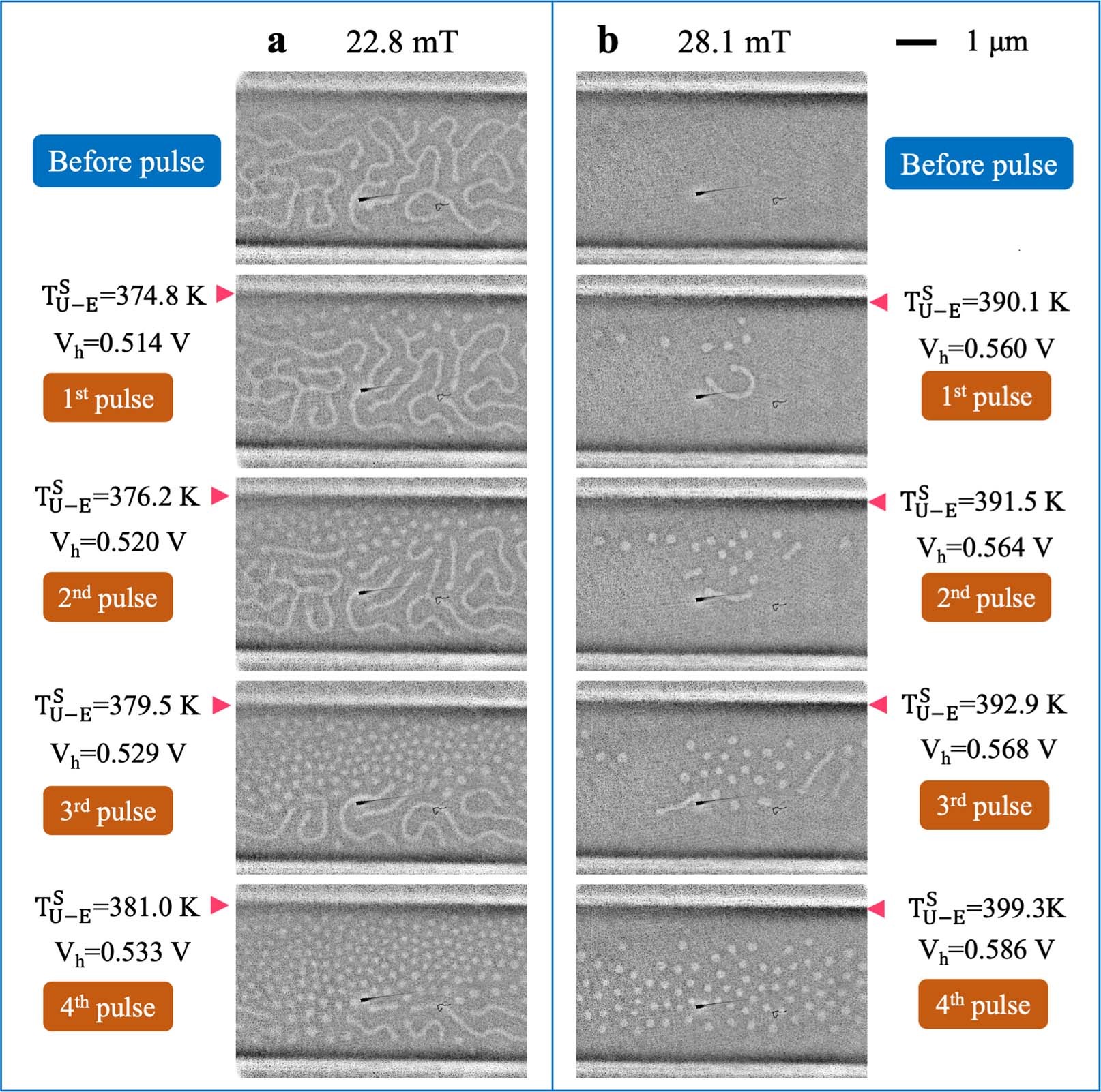 Extended Data Fig. 2: Skyrmion generation and propagation in the [Ta/Co20Fe60B20/MgO]15 multilayer at positive magnetic fields (+μ0H⊥) by using the upper heater.