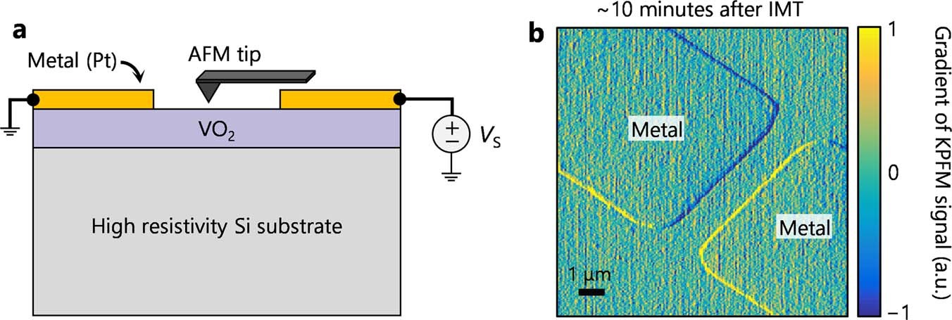 Extended Data Fig. 6