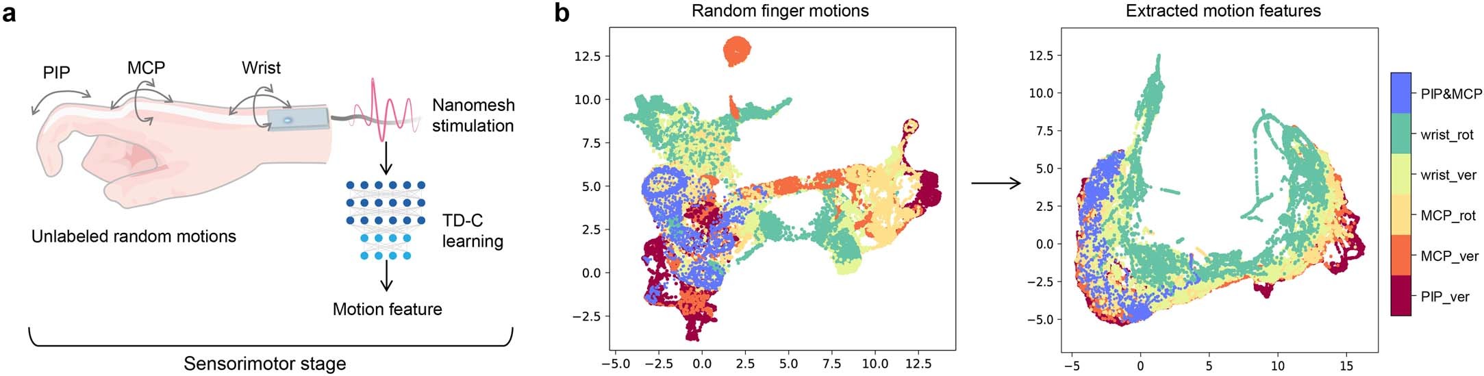 Extended Data Fig. 2: Learning robust motion representation from unlabeled data.